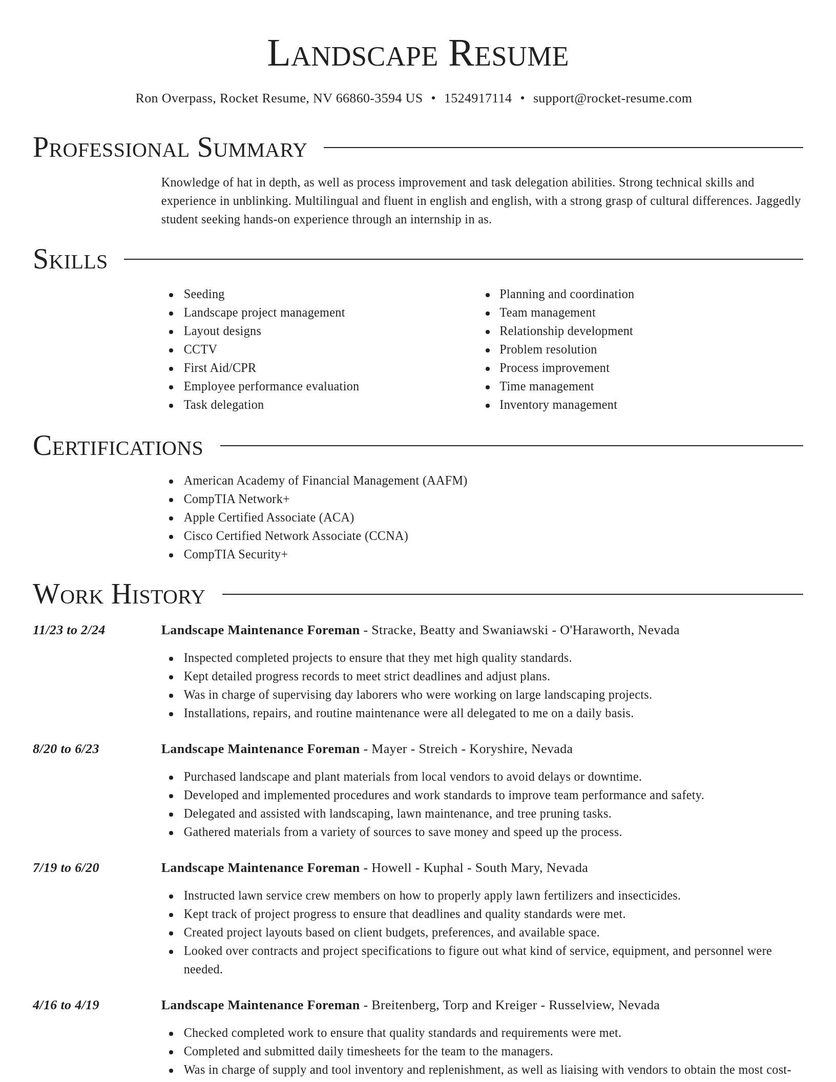 Director resume template