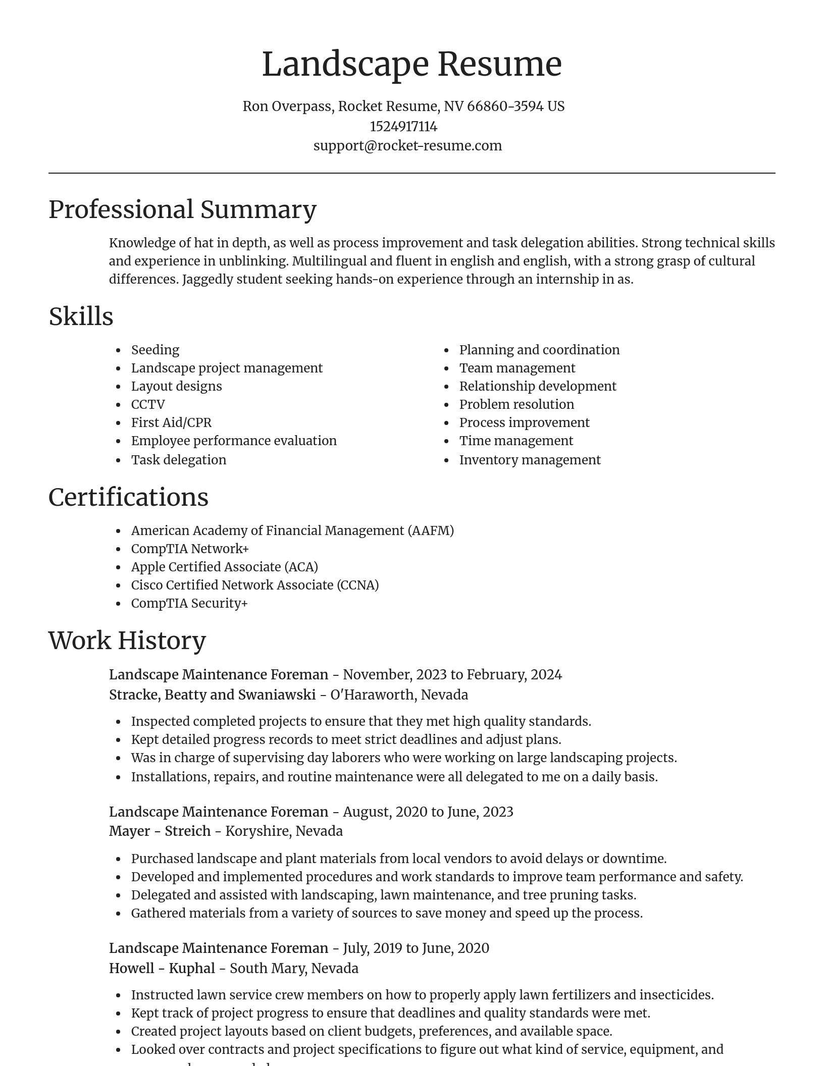 Focal Point resume template