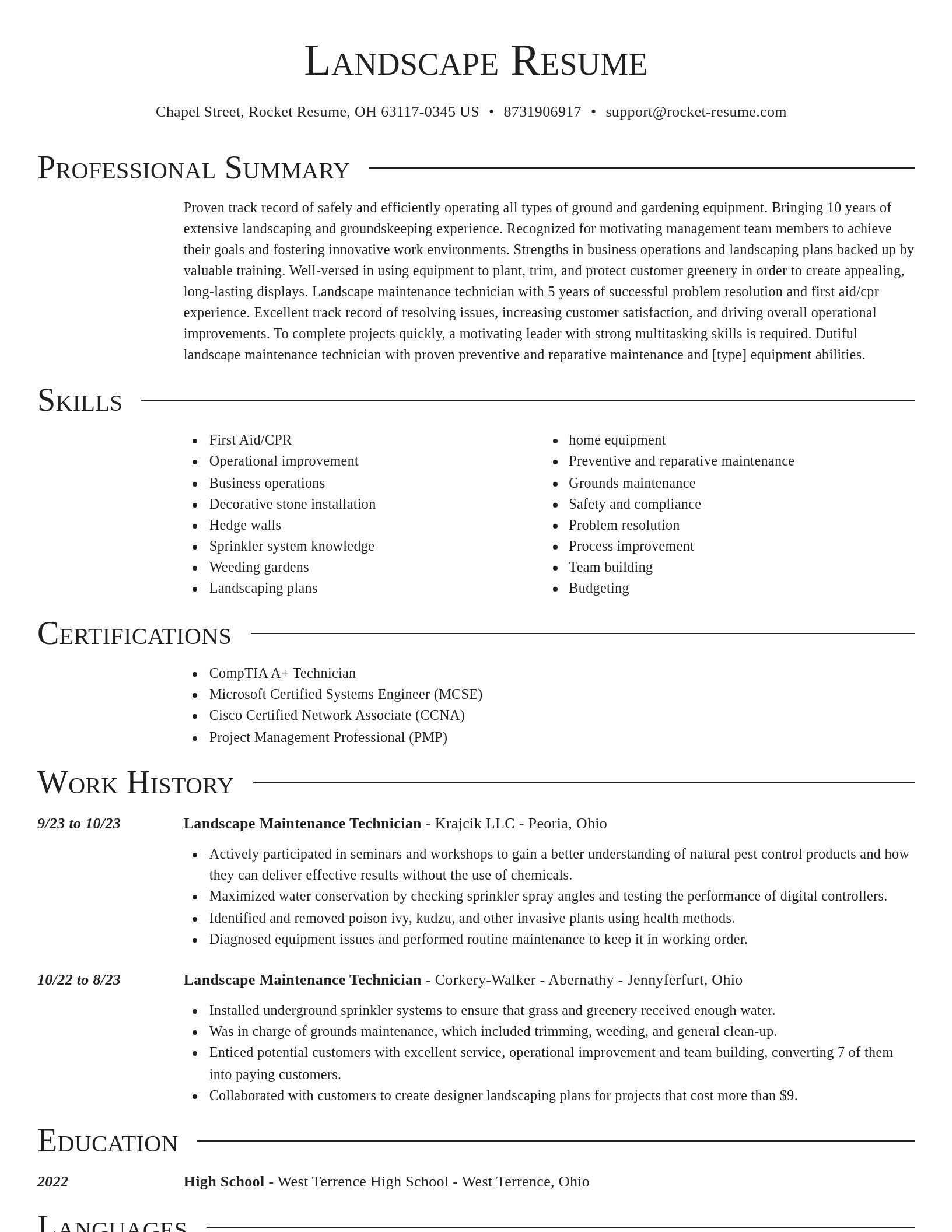 Director resume template