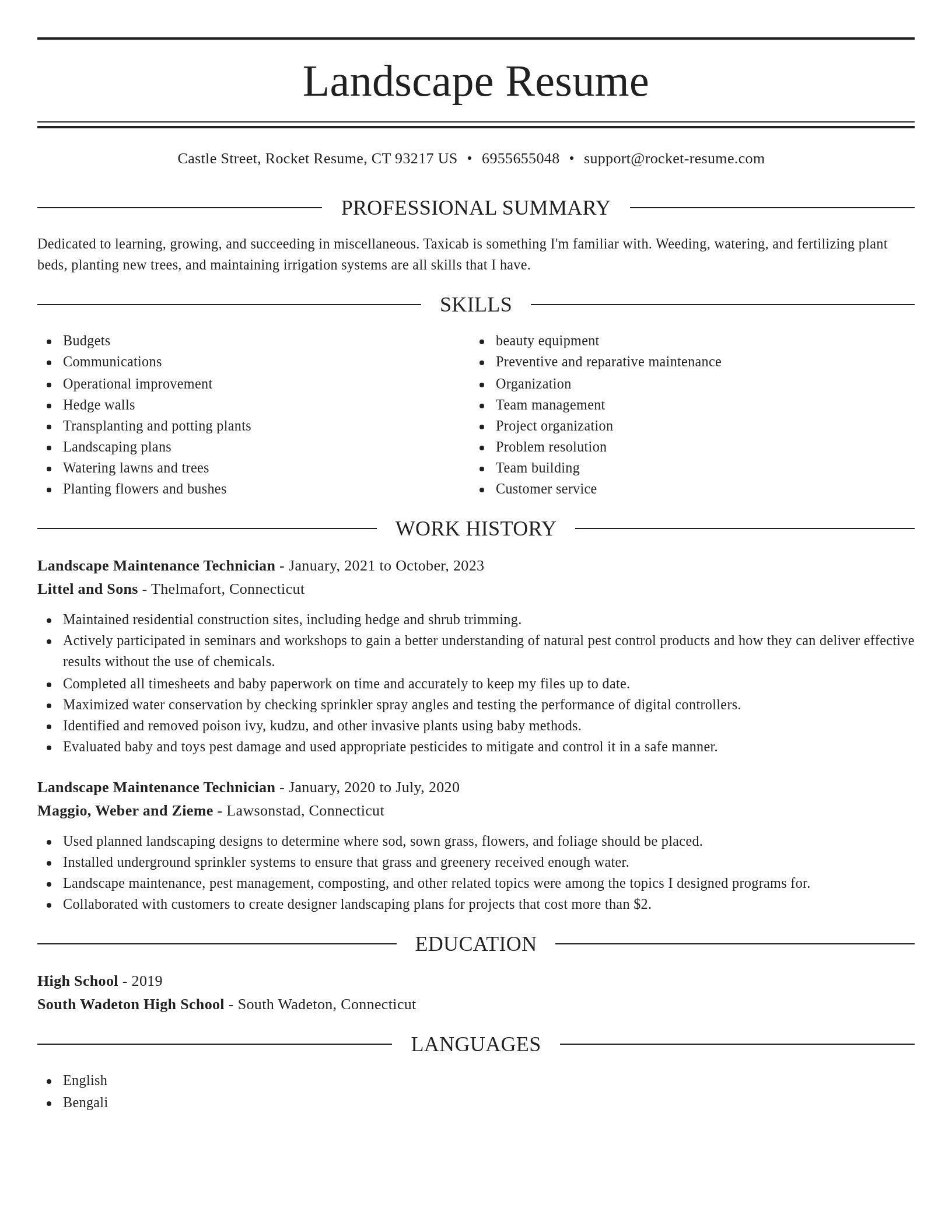 Elegant resume template