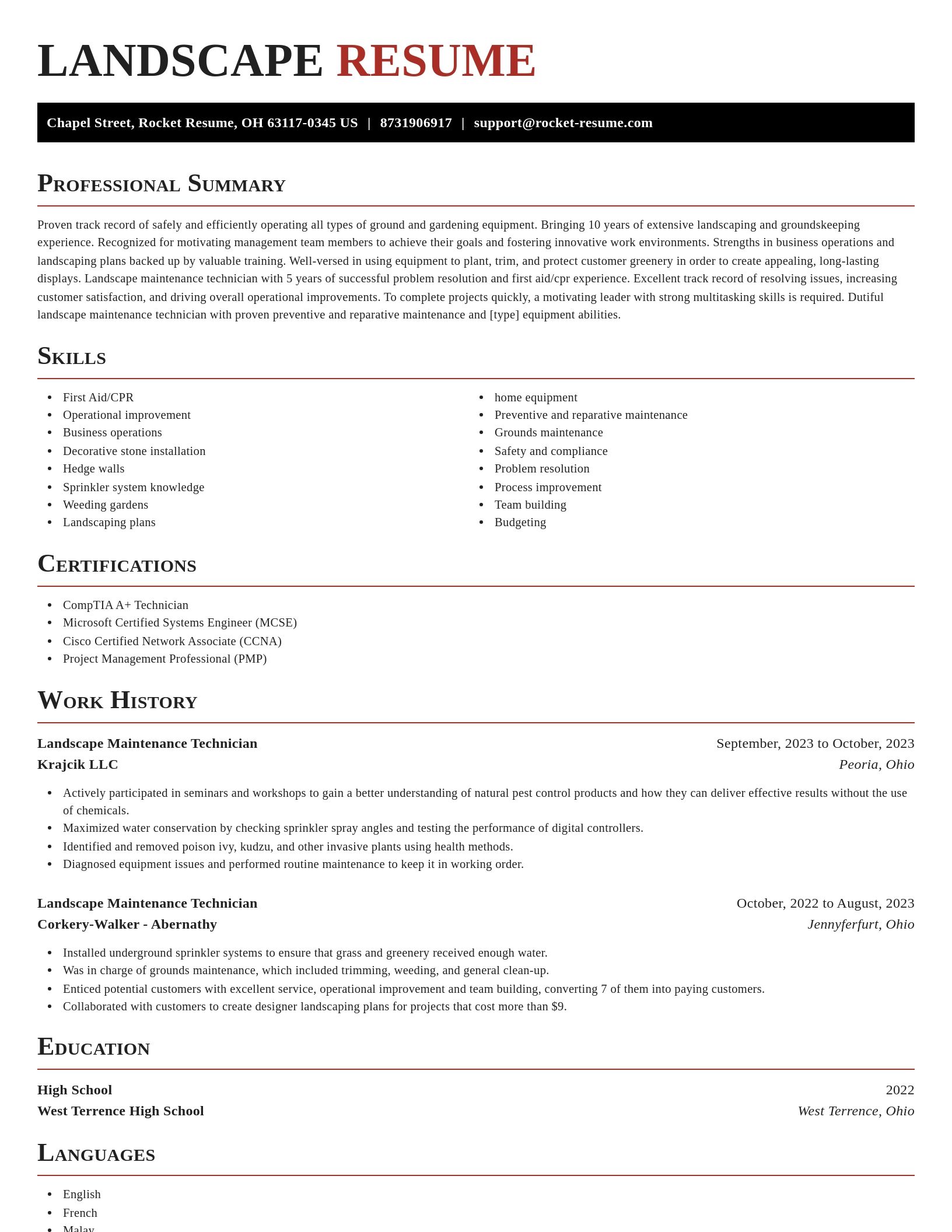 Exquisite resume template