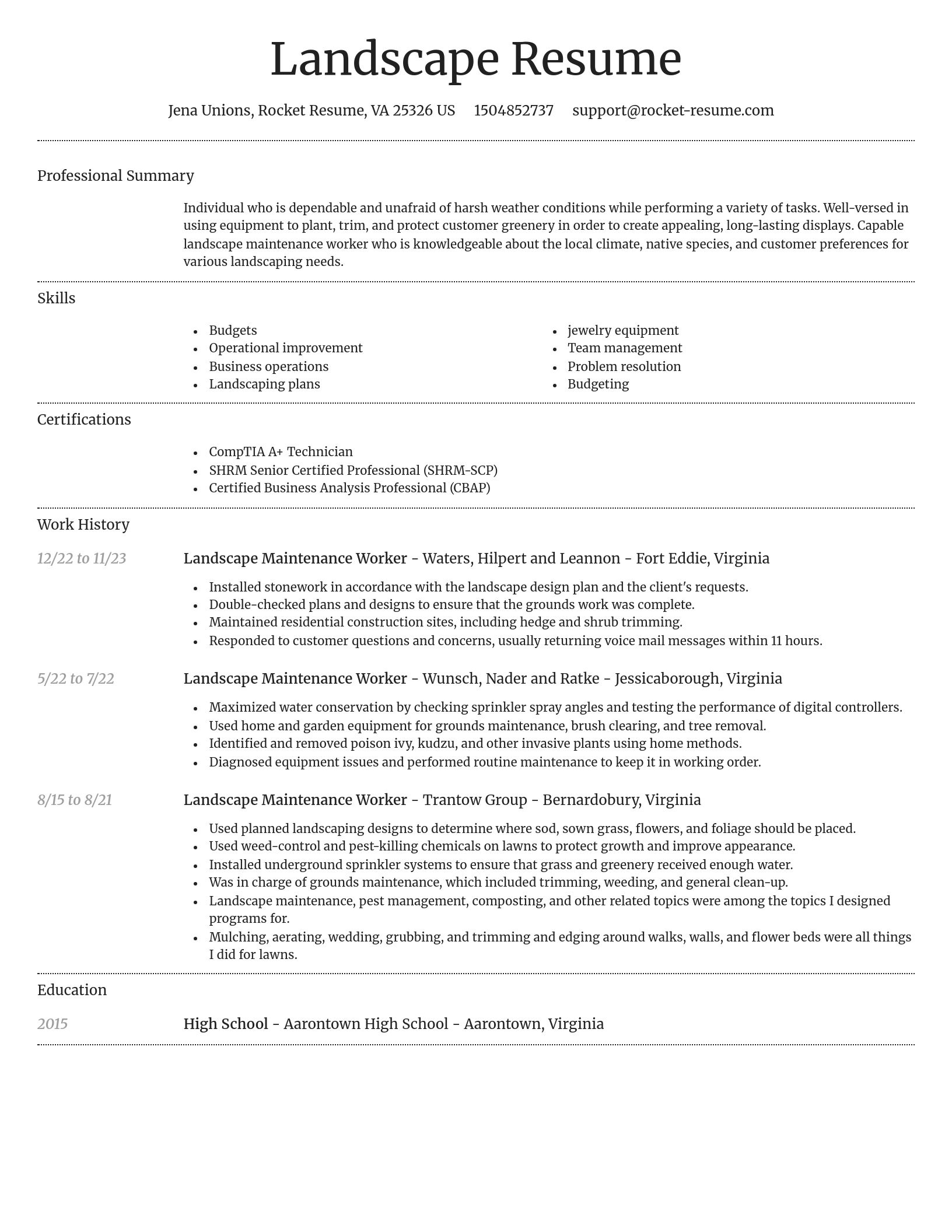 Dignified resume template