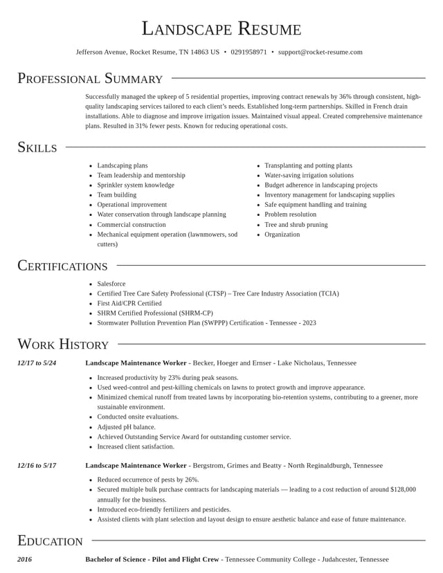 Director resume template