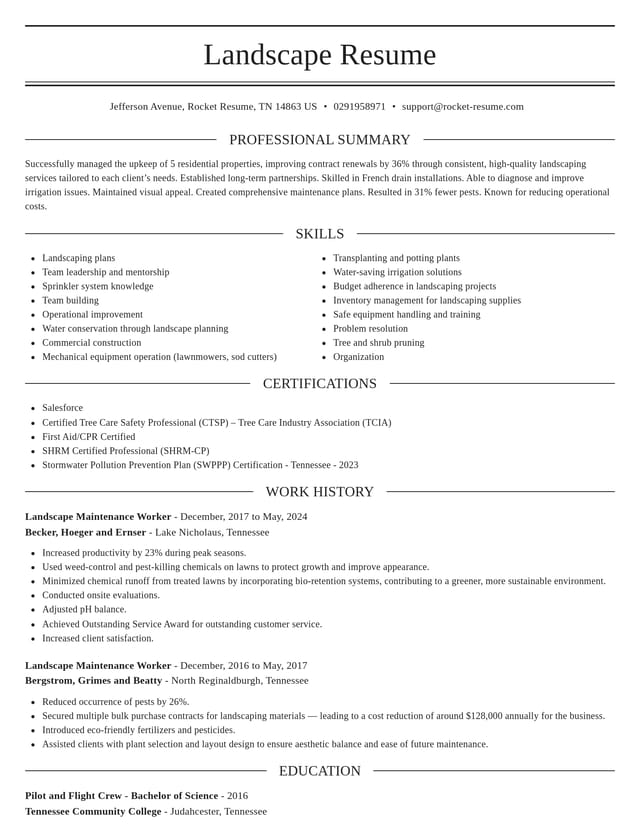 Elegant resume template