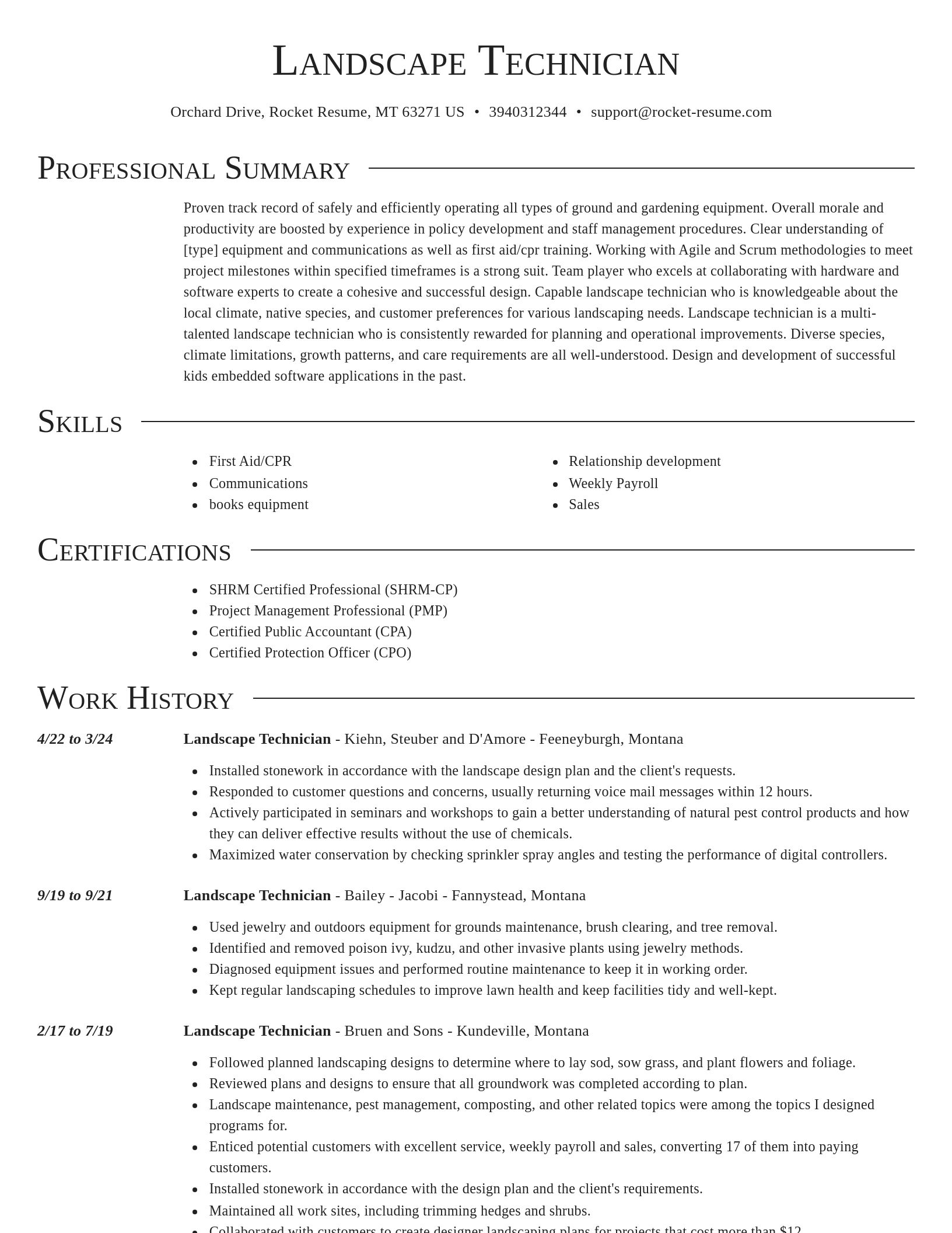 Director resume template