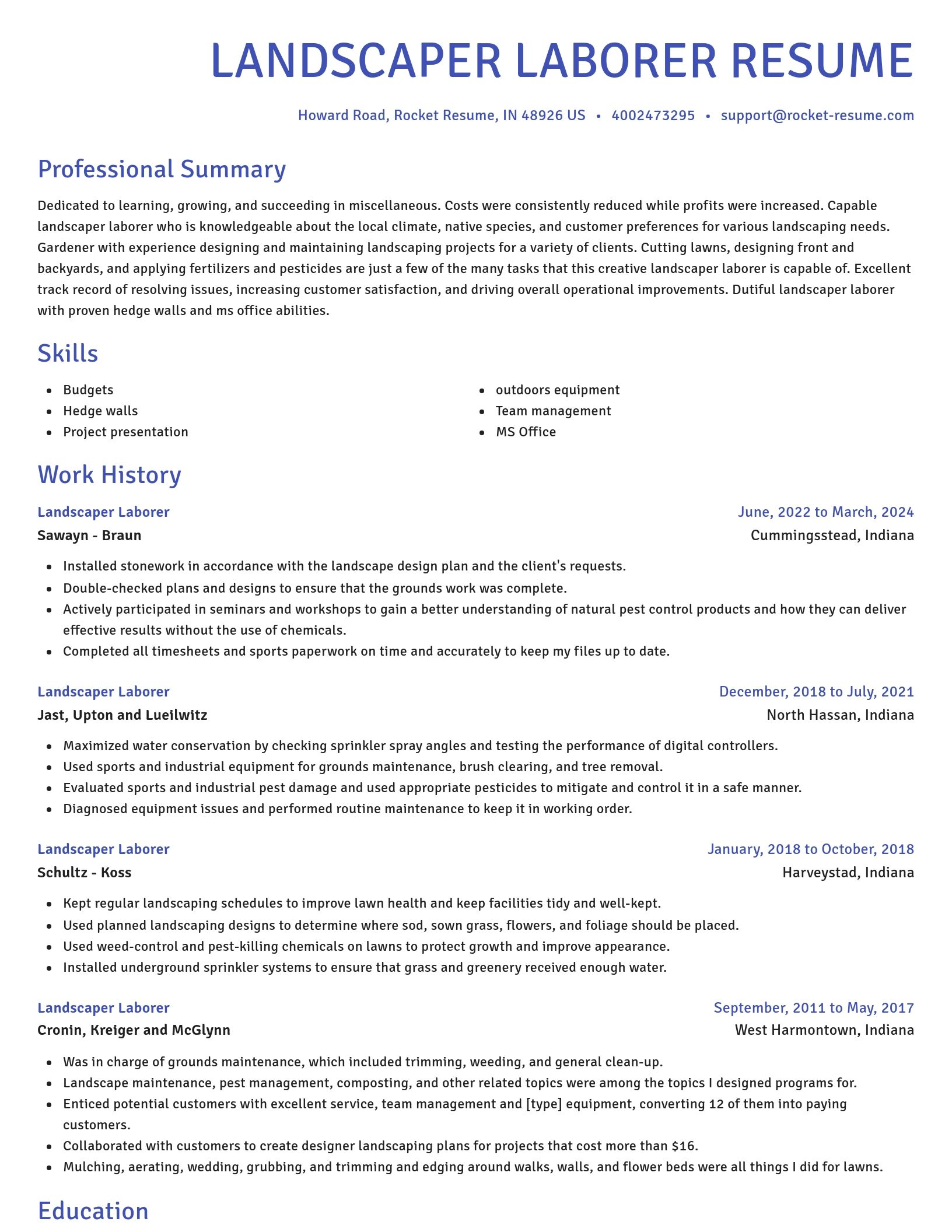 Novel resume template