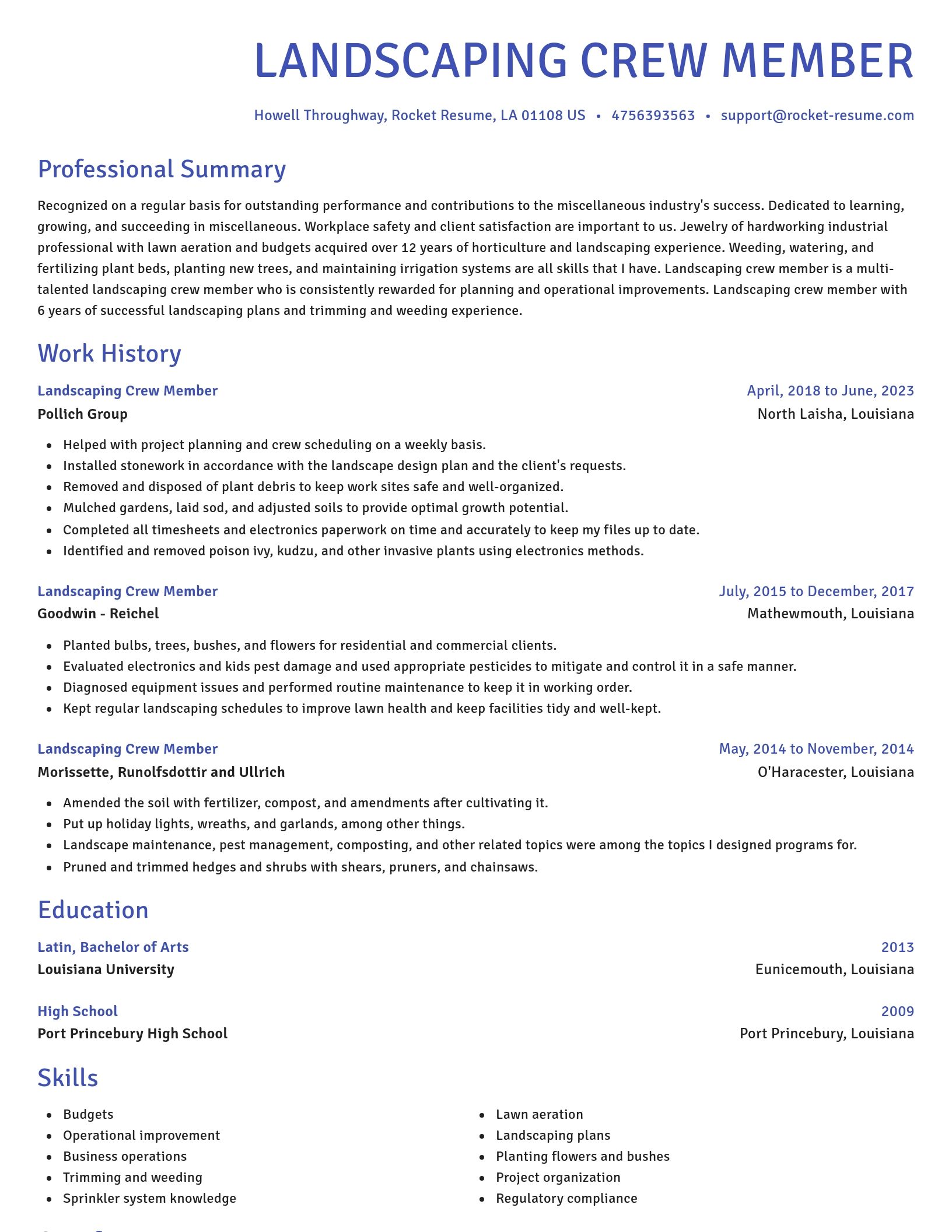 Novel resume template