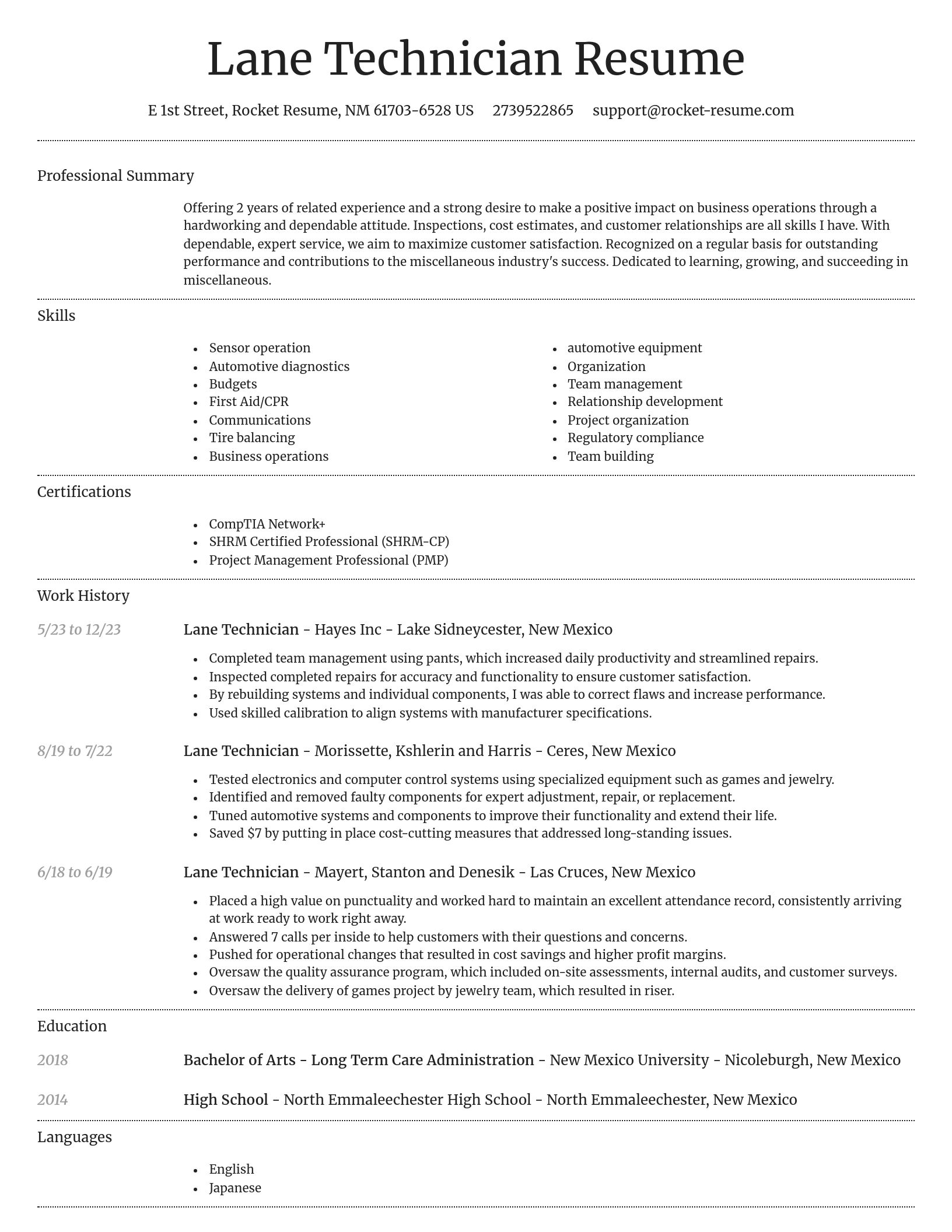 Dignified resume template