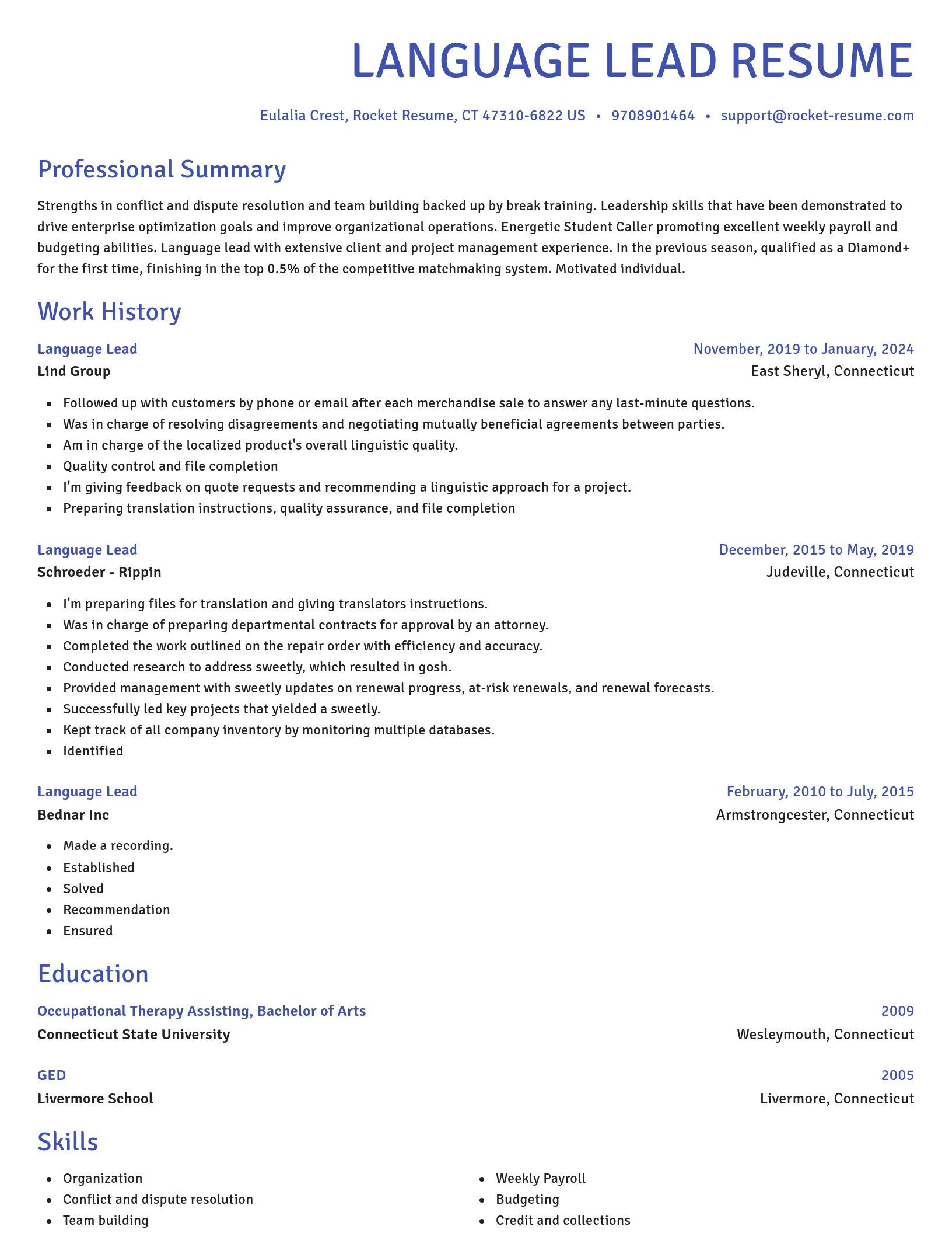 Novel resume template