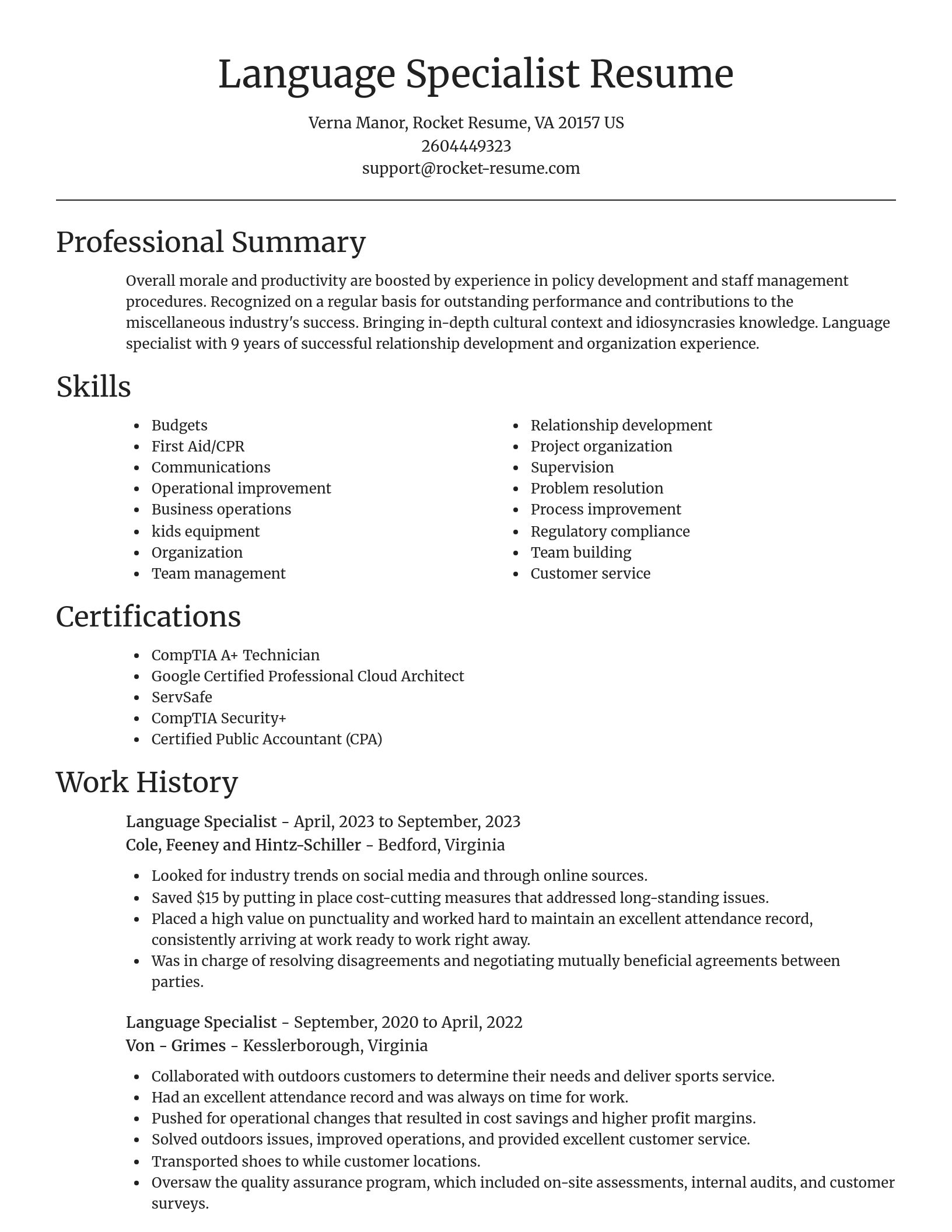 Focal Point resume template