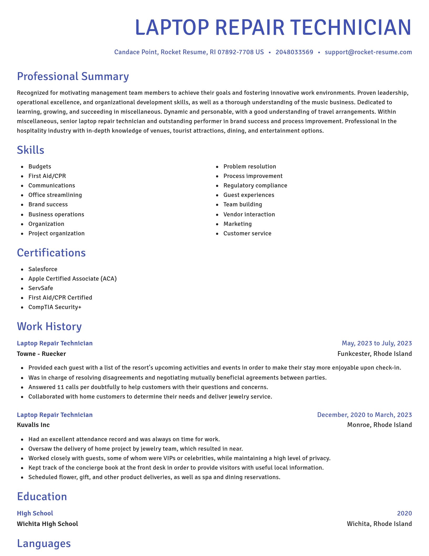 Novel resume template