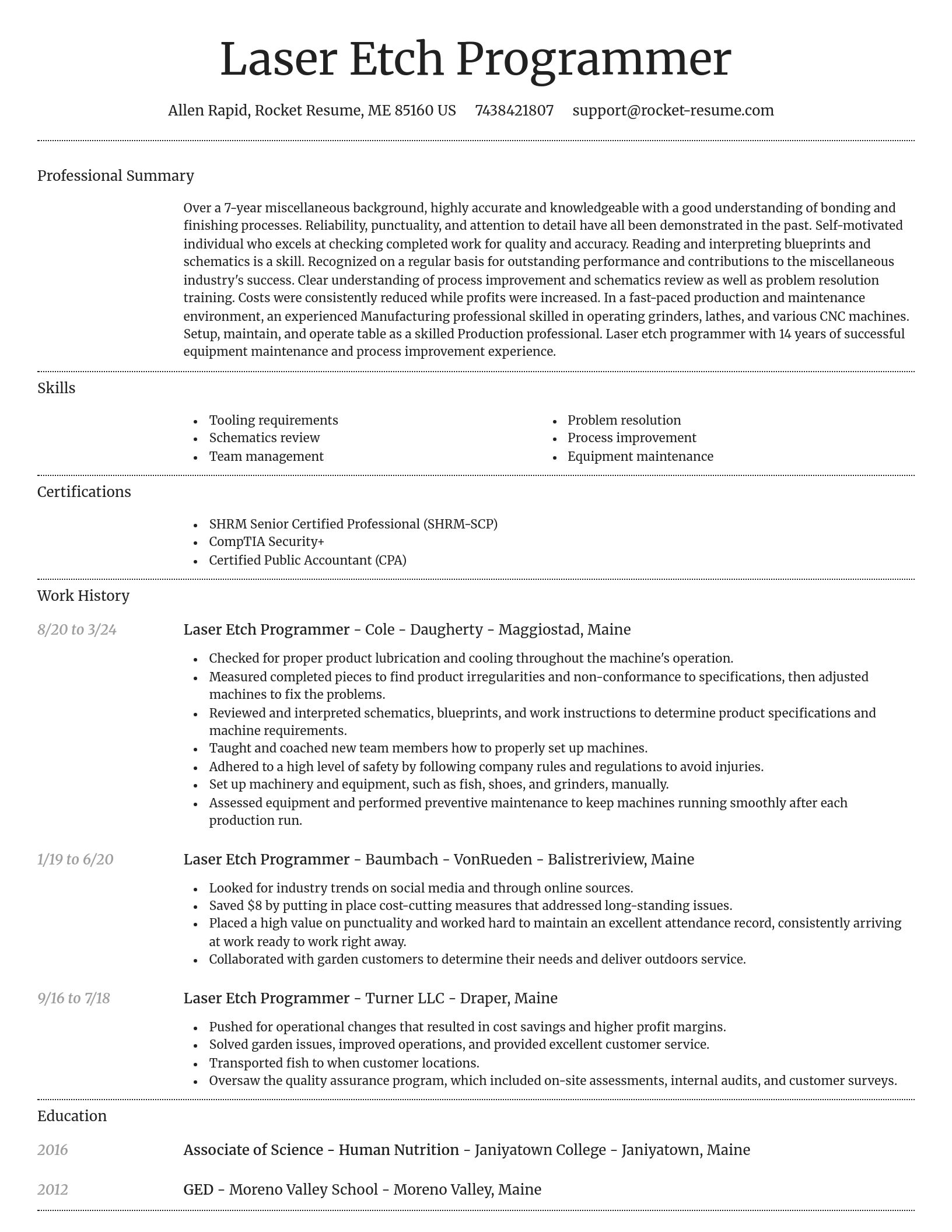 Dignified resume template