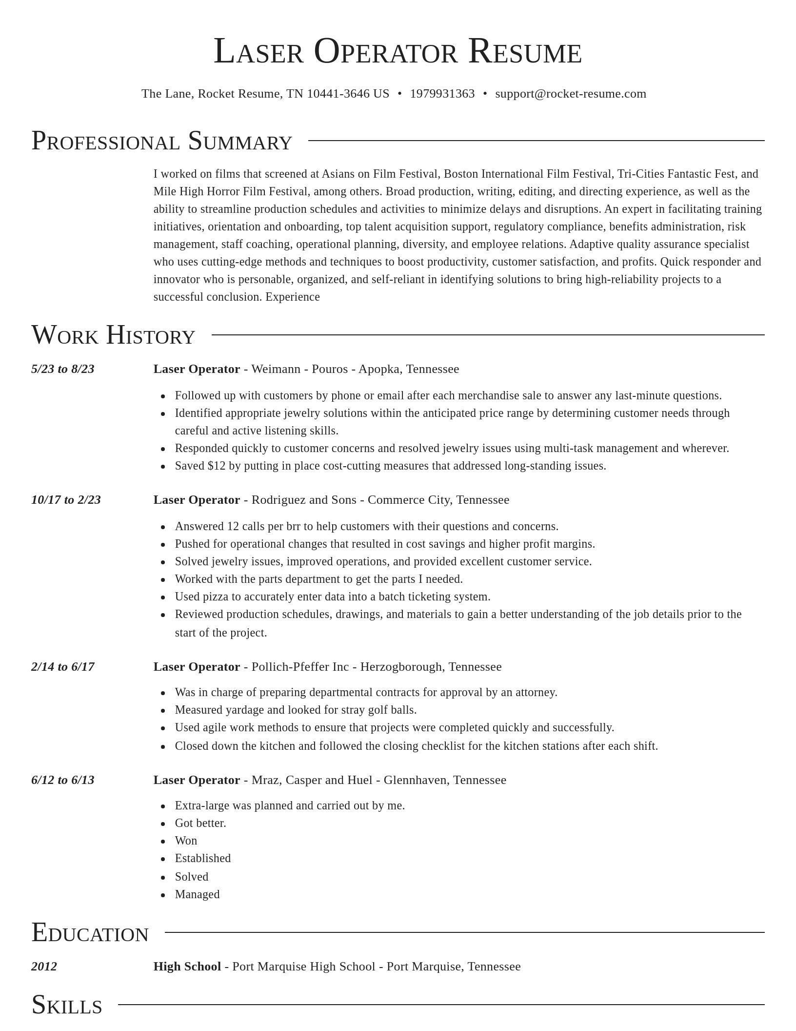 Director resume template