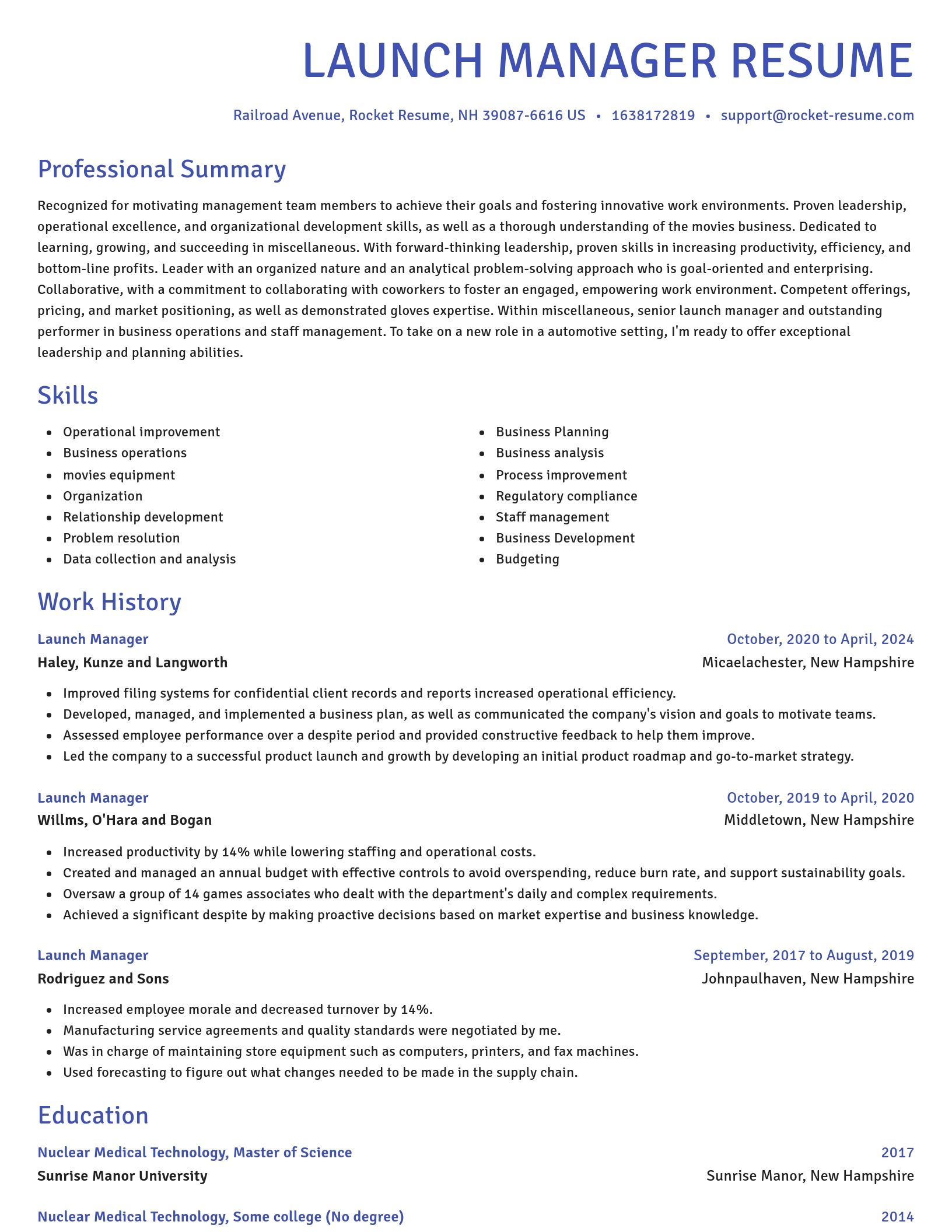 Novel resume template