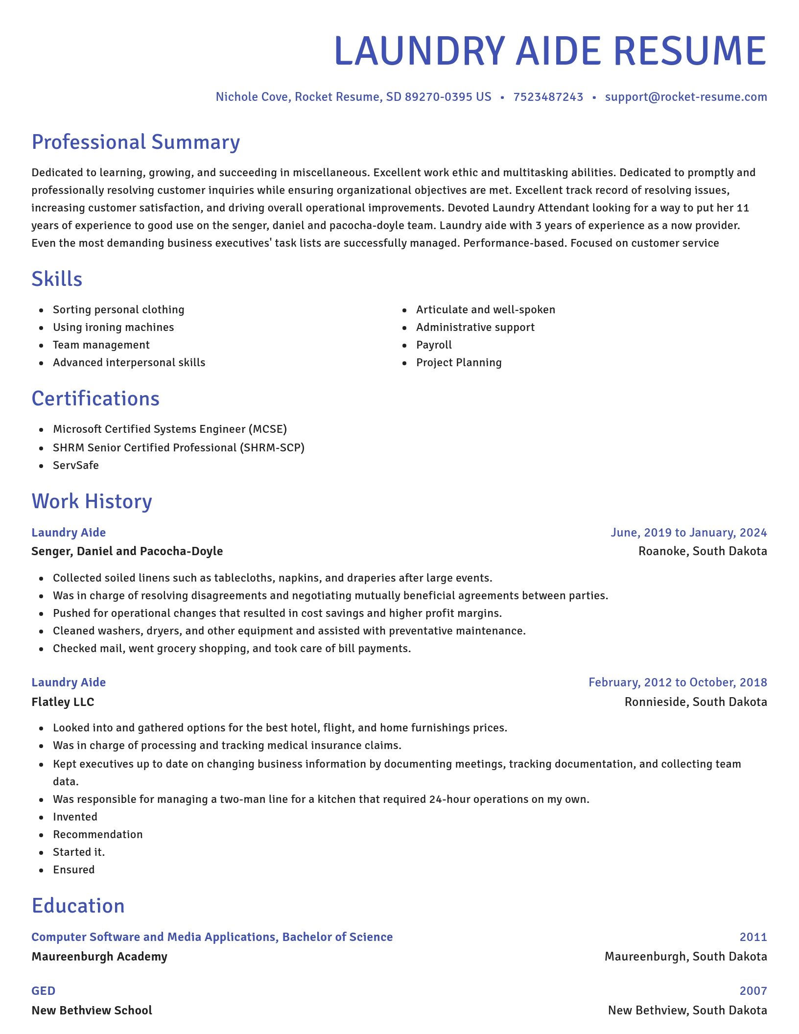 Novel resume template