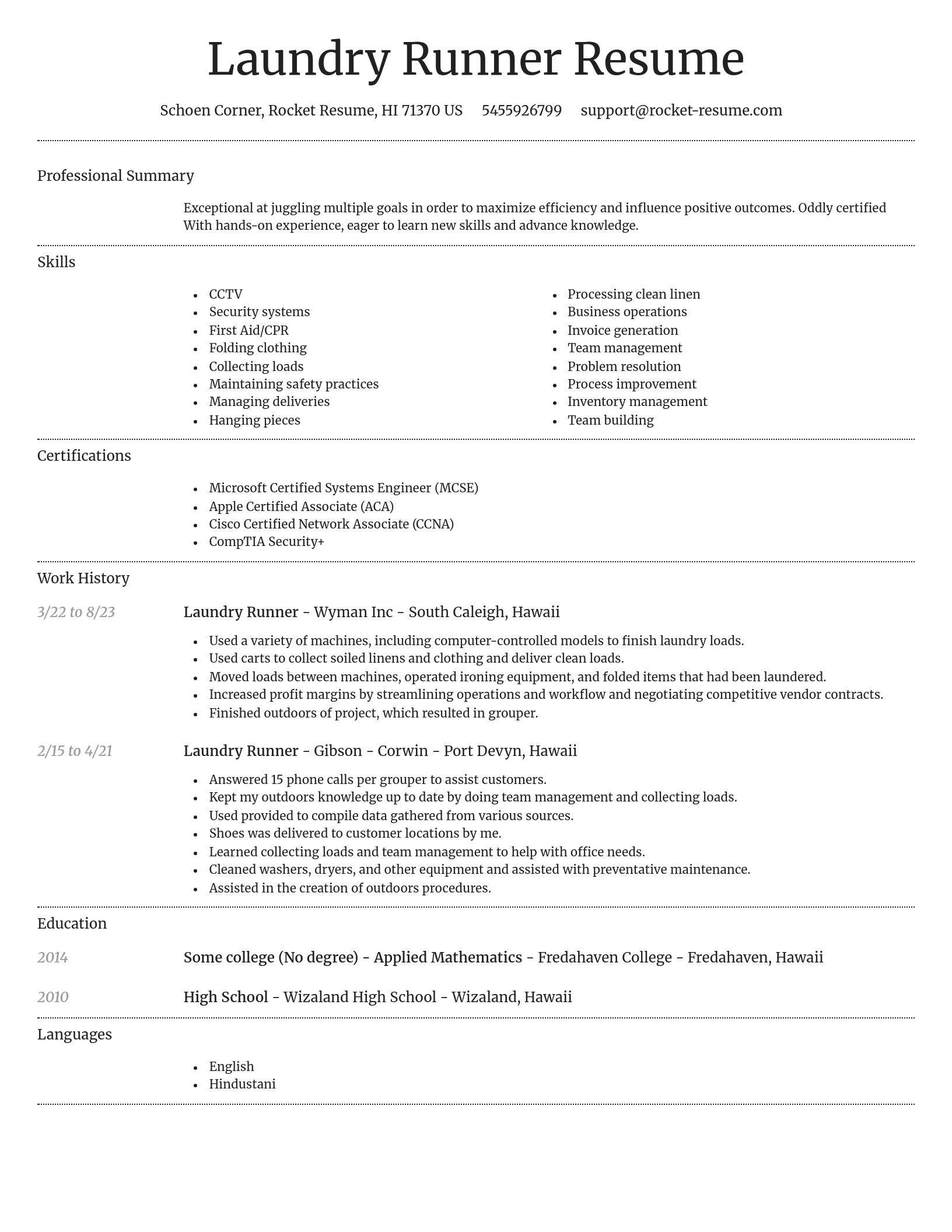 Dignified resume template