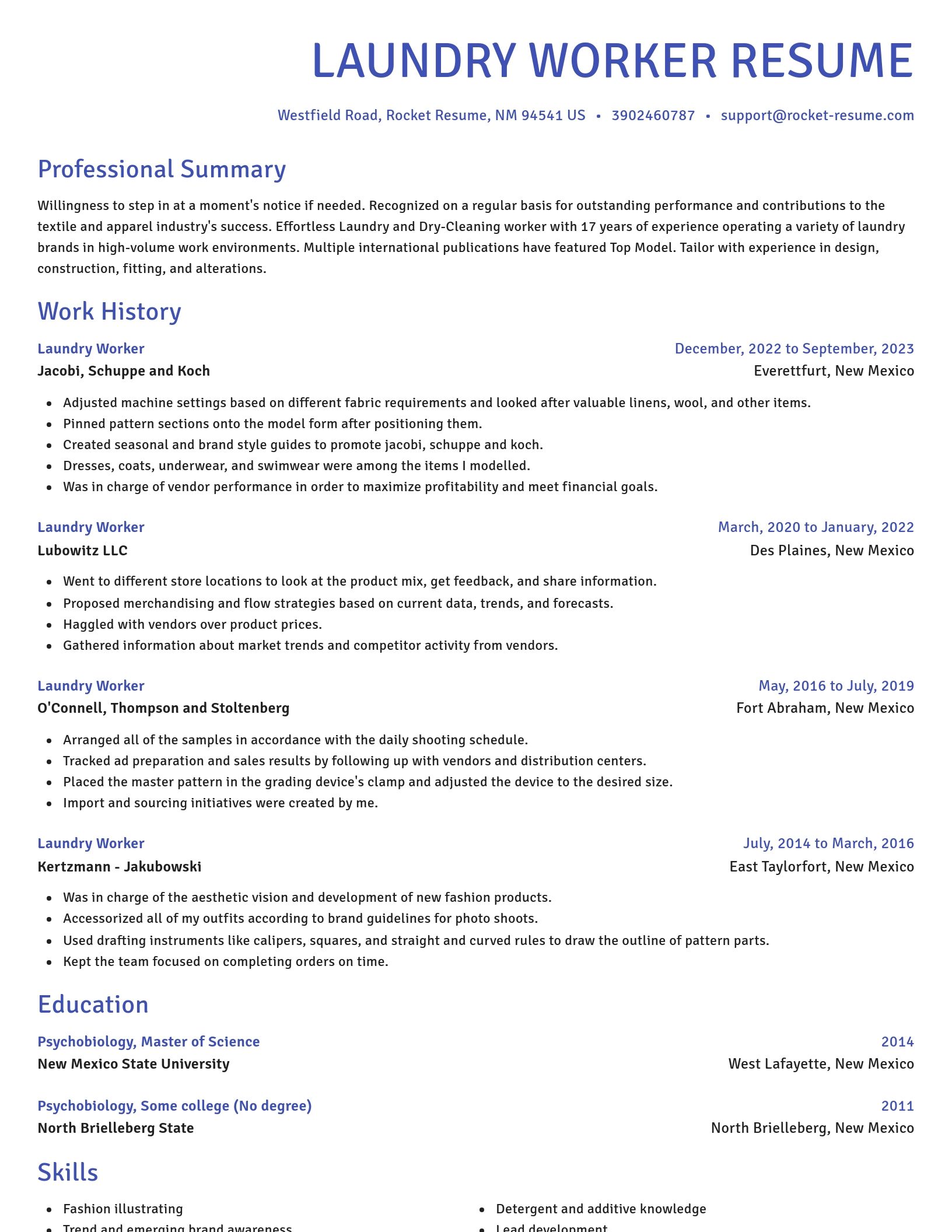 Novel resume template