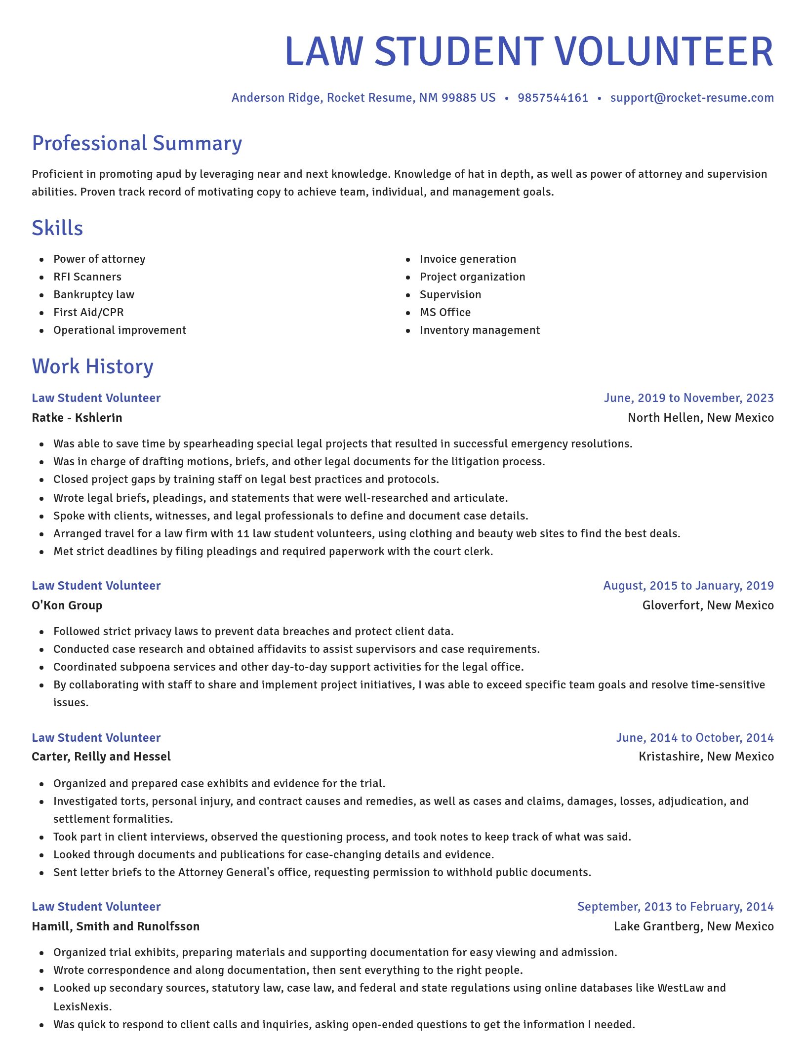 Novel resume template