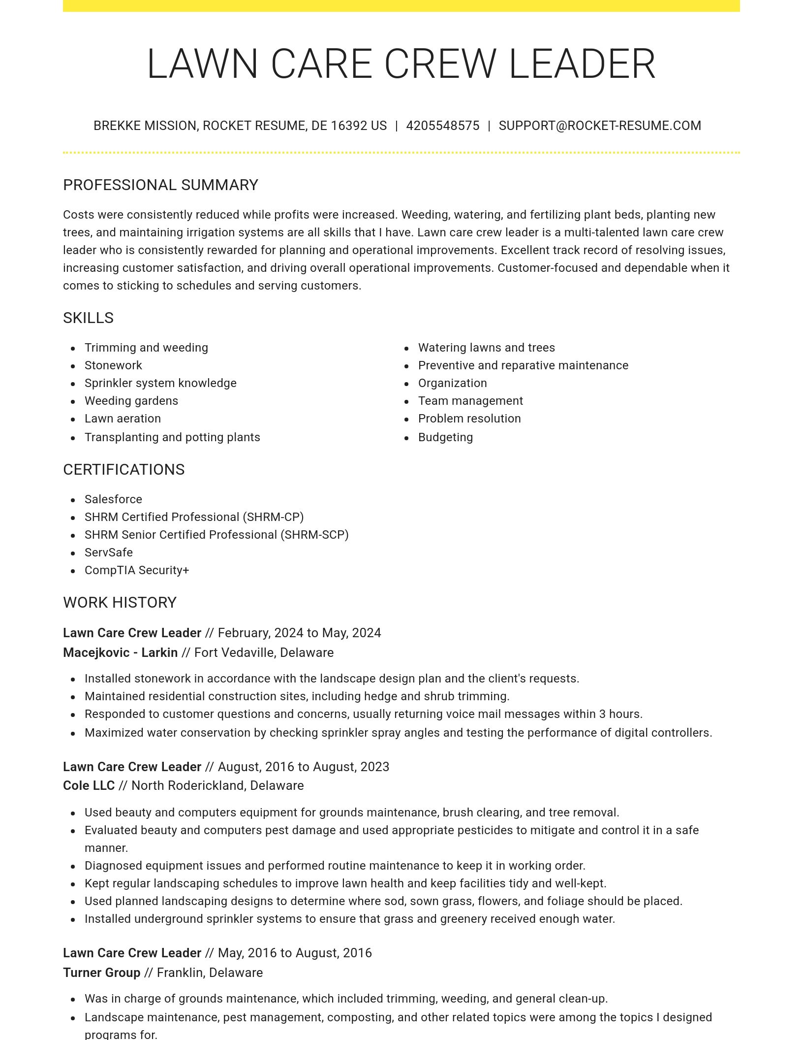 Grand resume template
