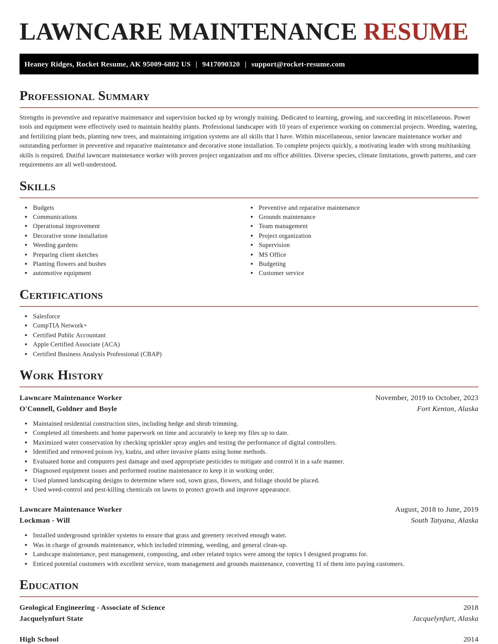Exquisite resume template