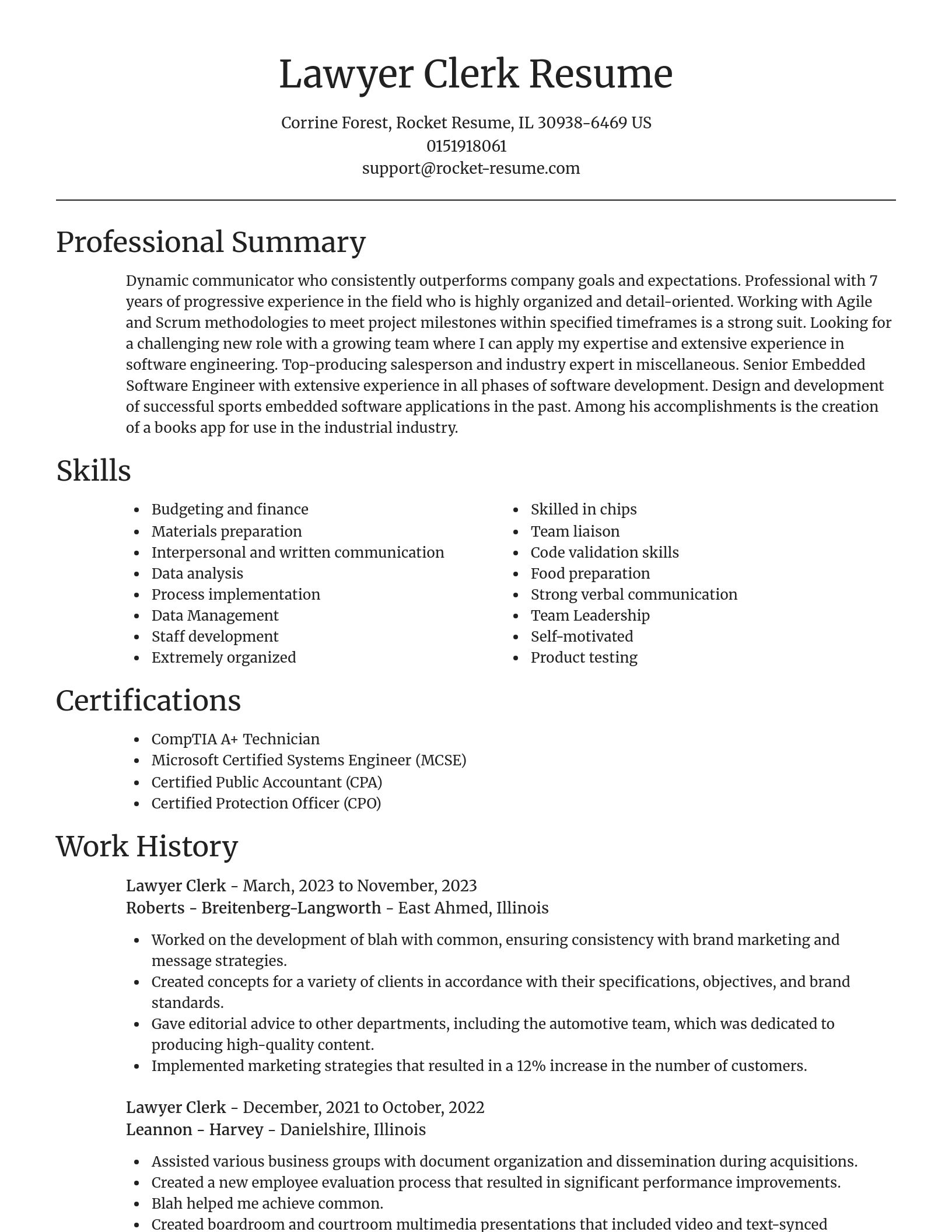 Focal Point resume template