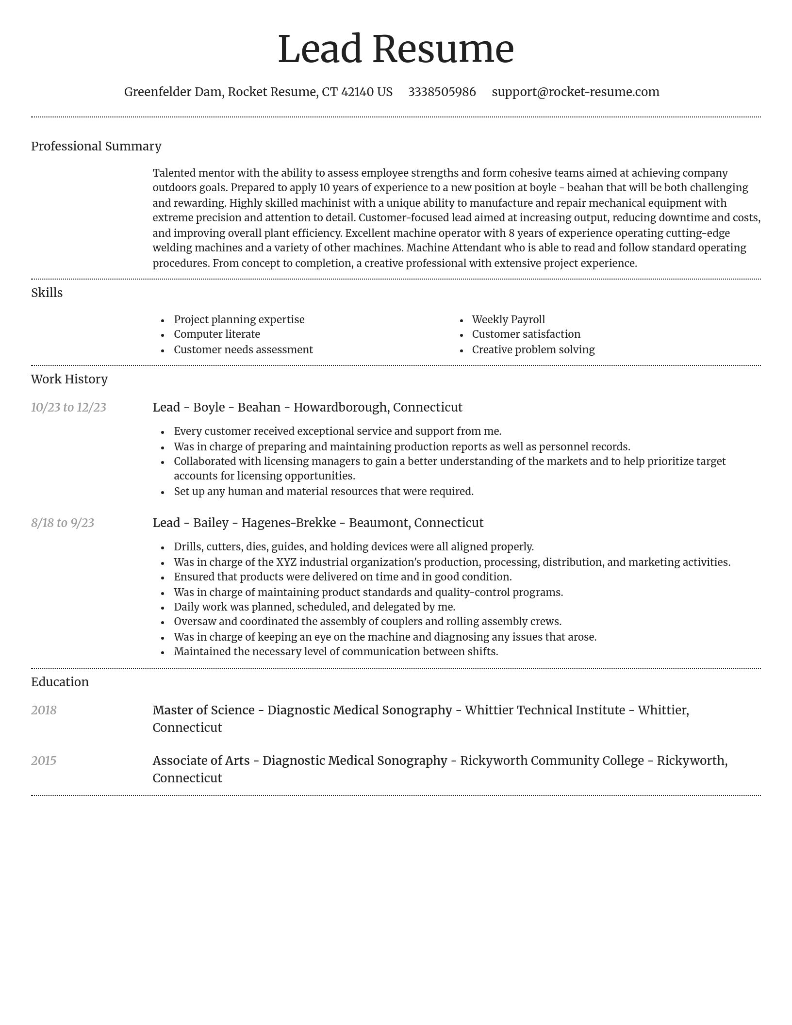 Dignified resume template