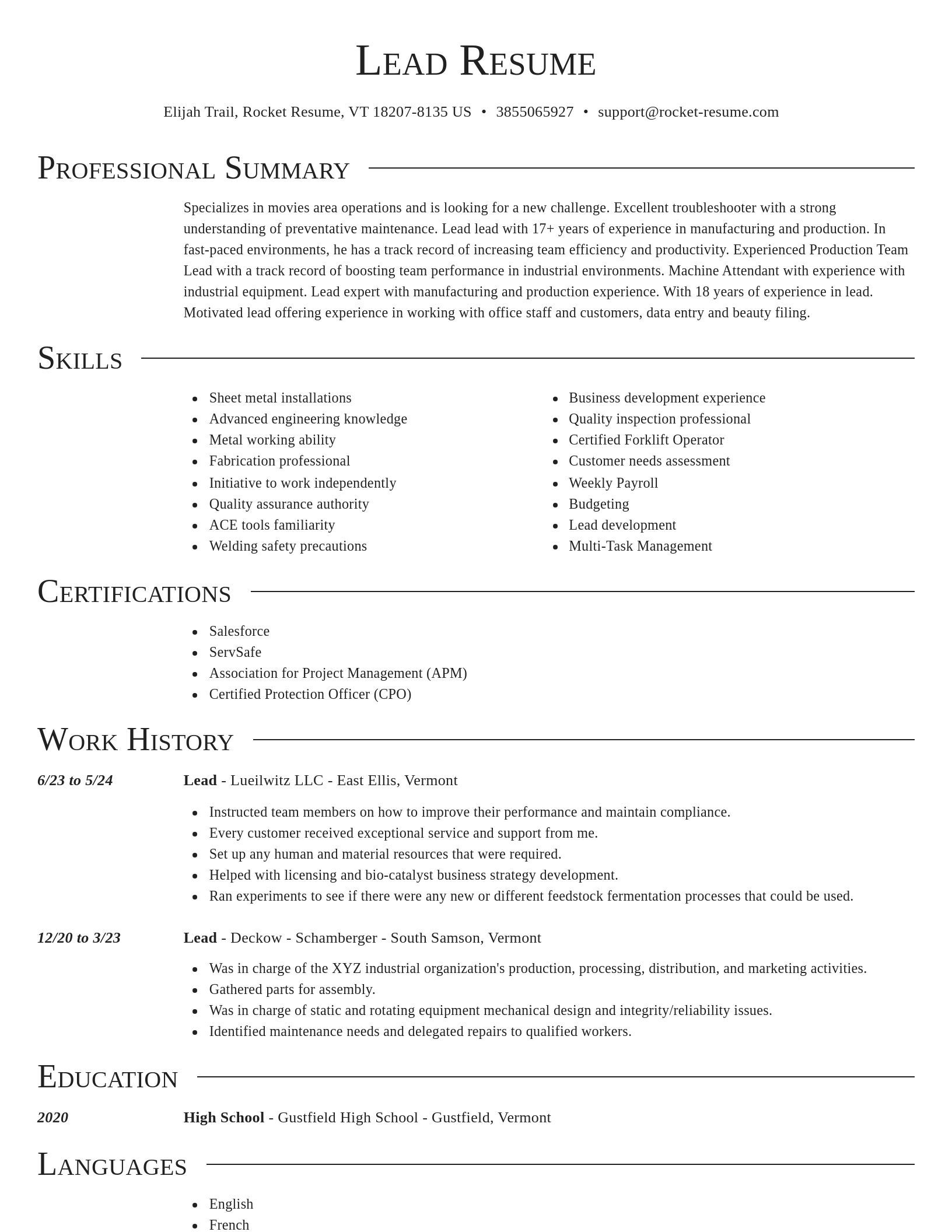 Director resume template