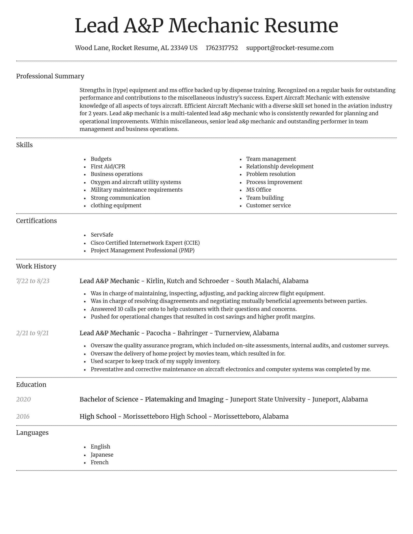 Dignified resume template