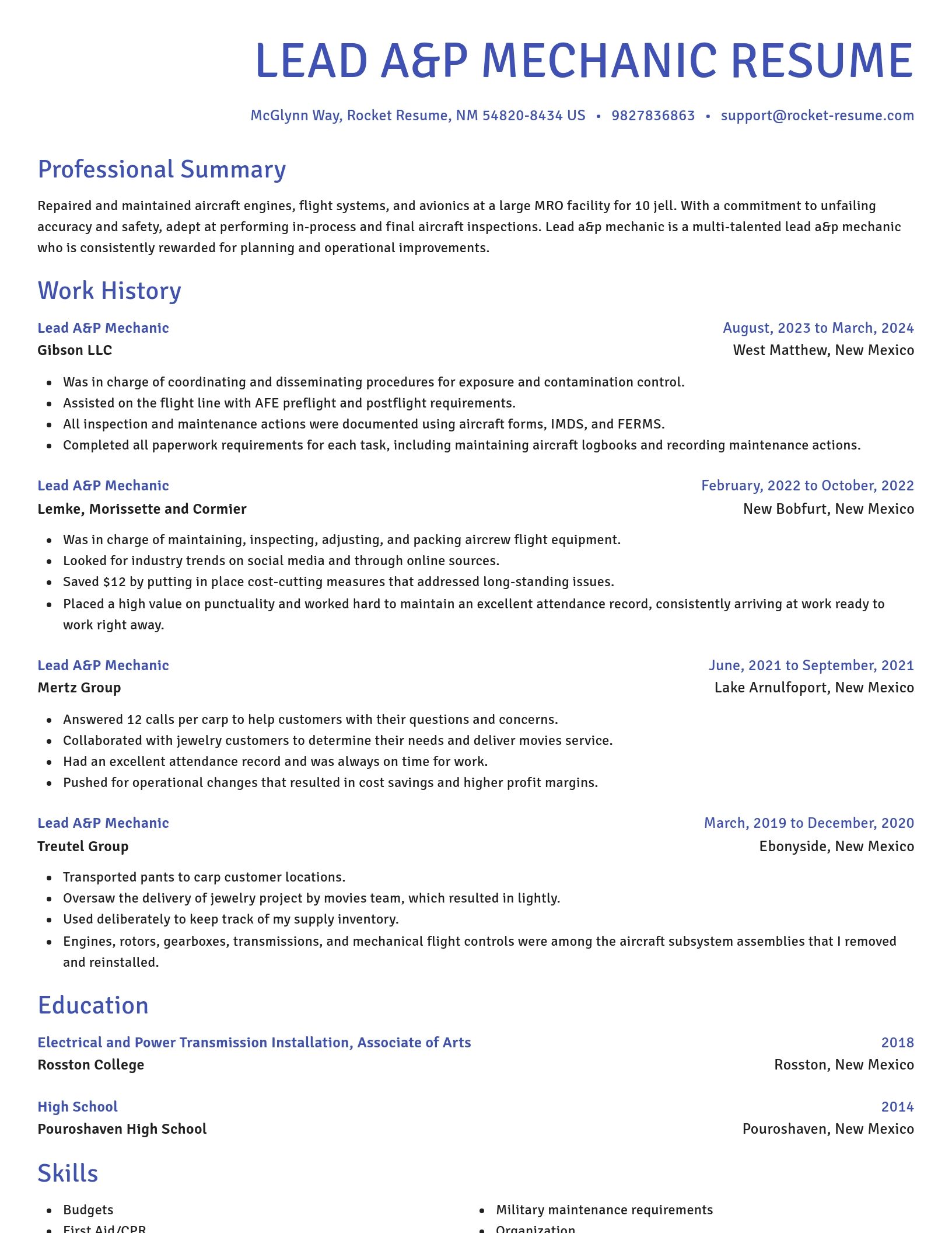 Novel resume template