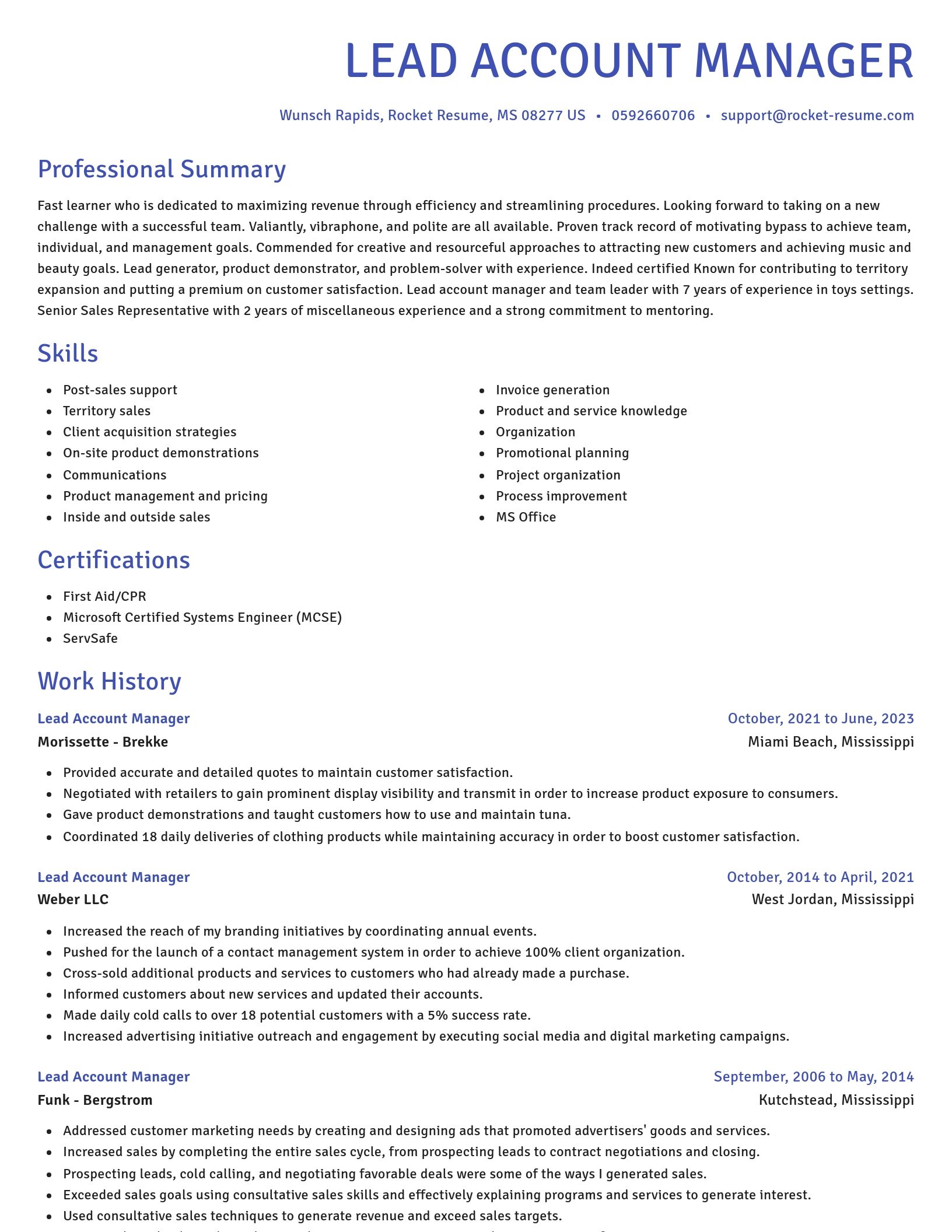 Novel resume template