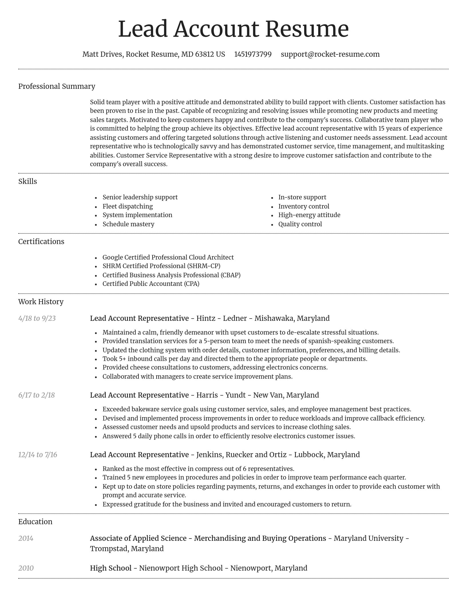 Dignified resume template
