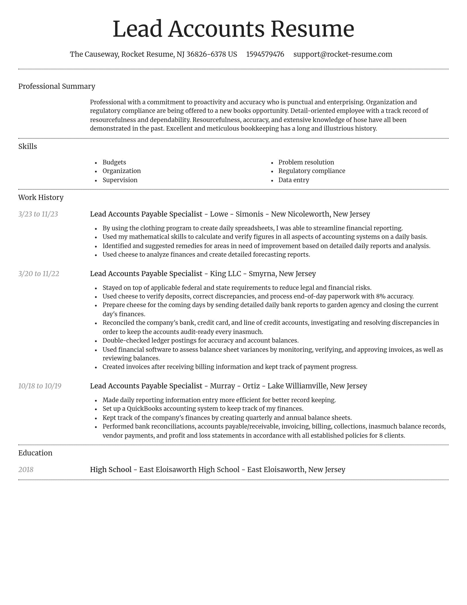 Dignified resume template