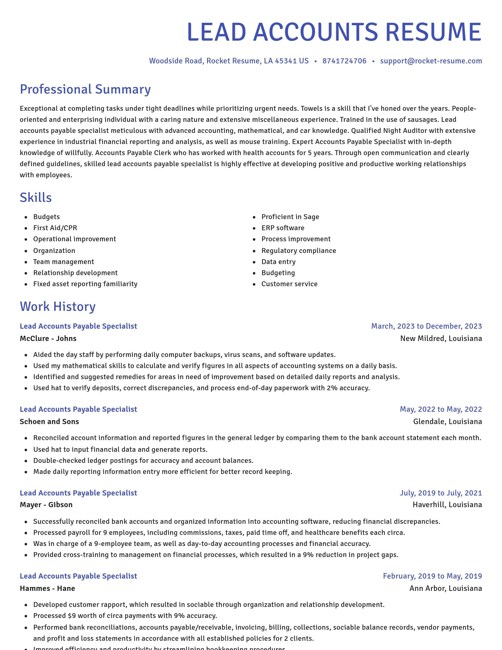 Novel resume template