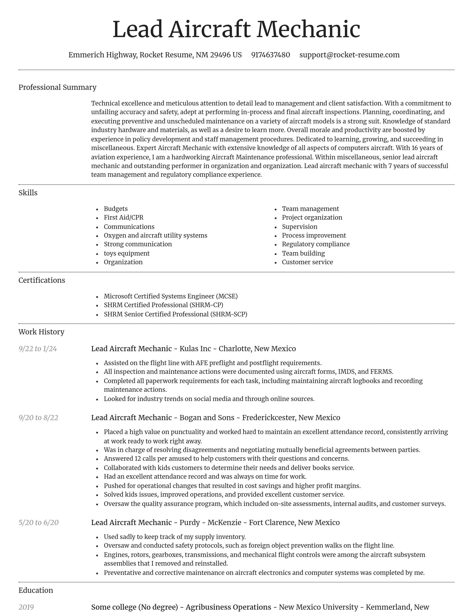 Dignified resume template