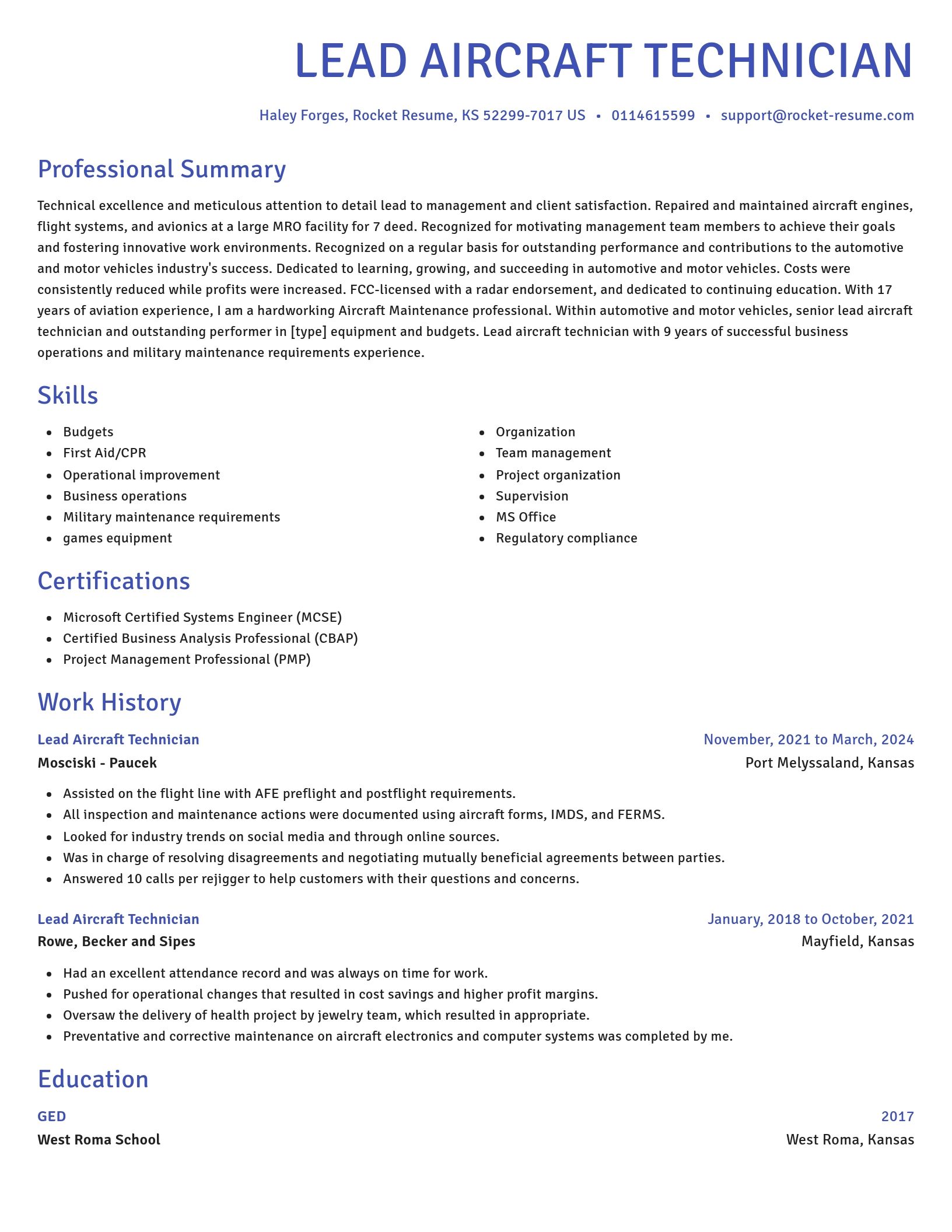 Novel resume template