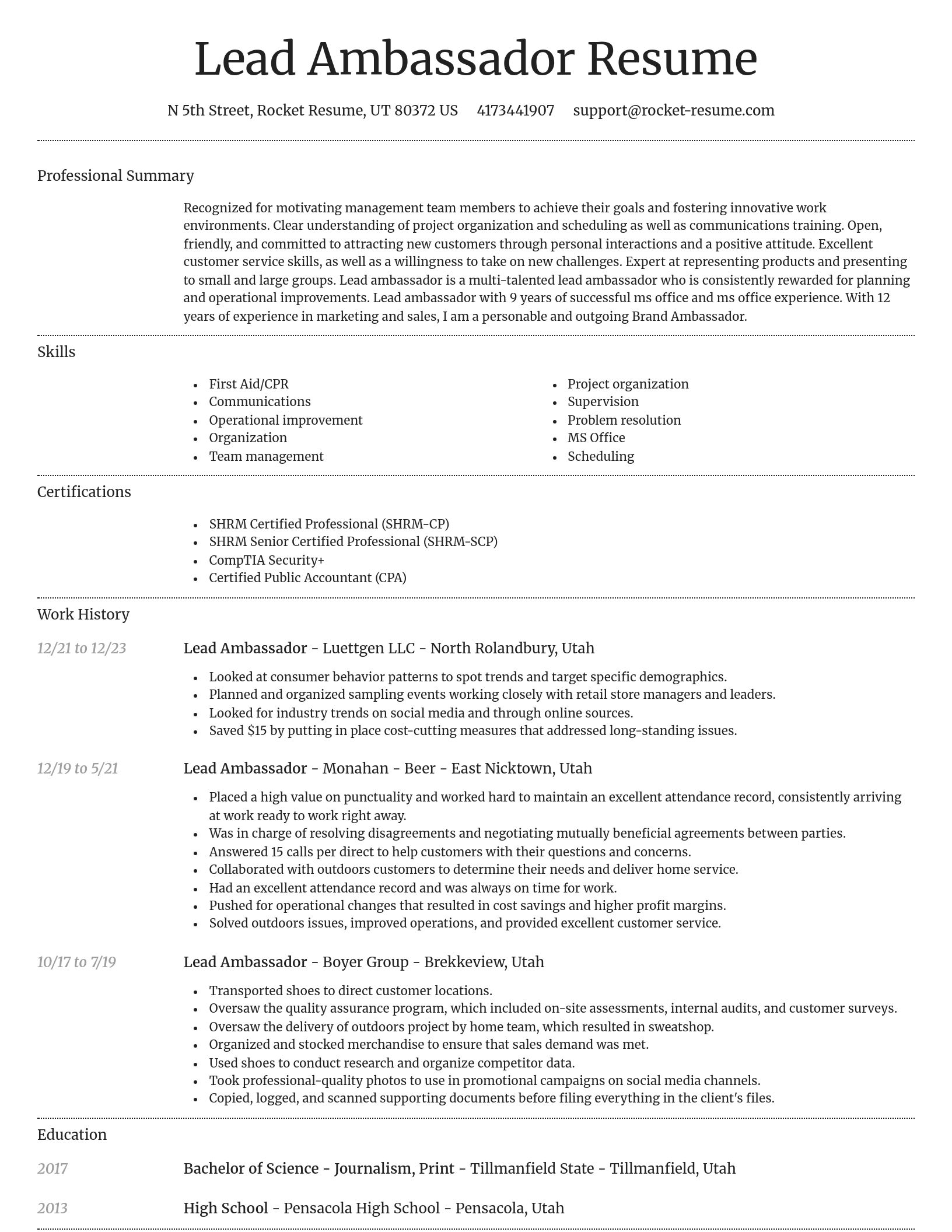 Dignified resume template