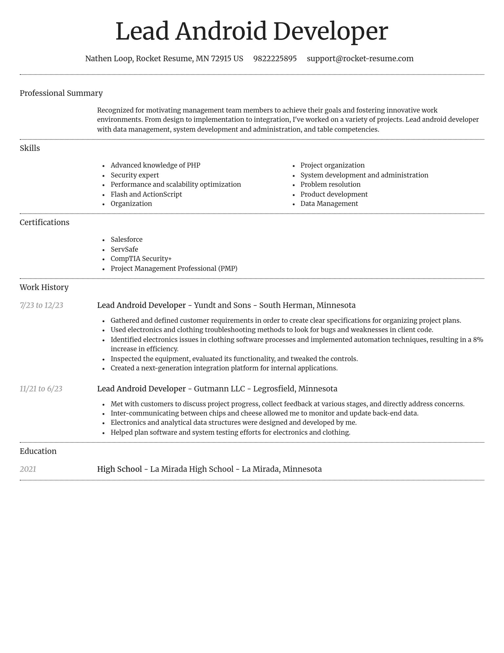 Dignified resume template