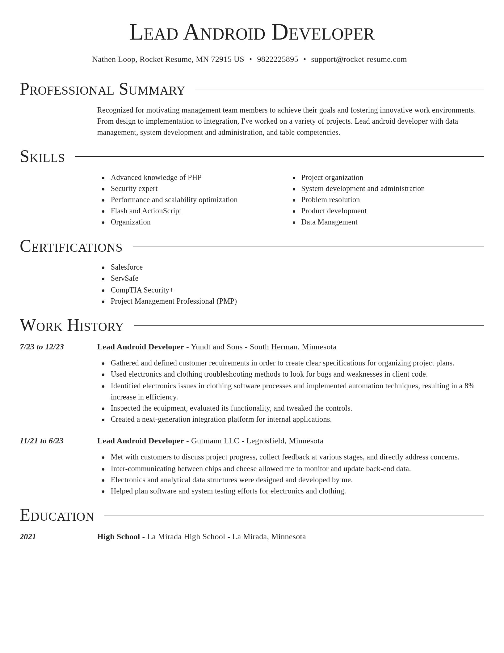 Director resume template