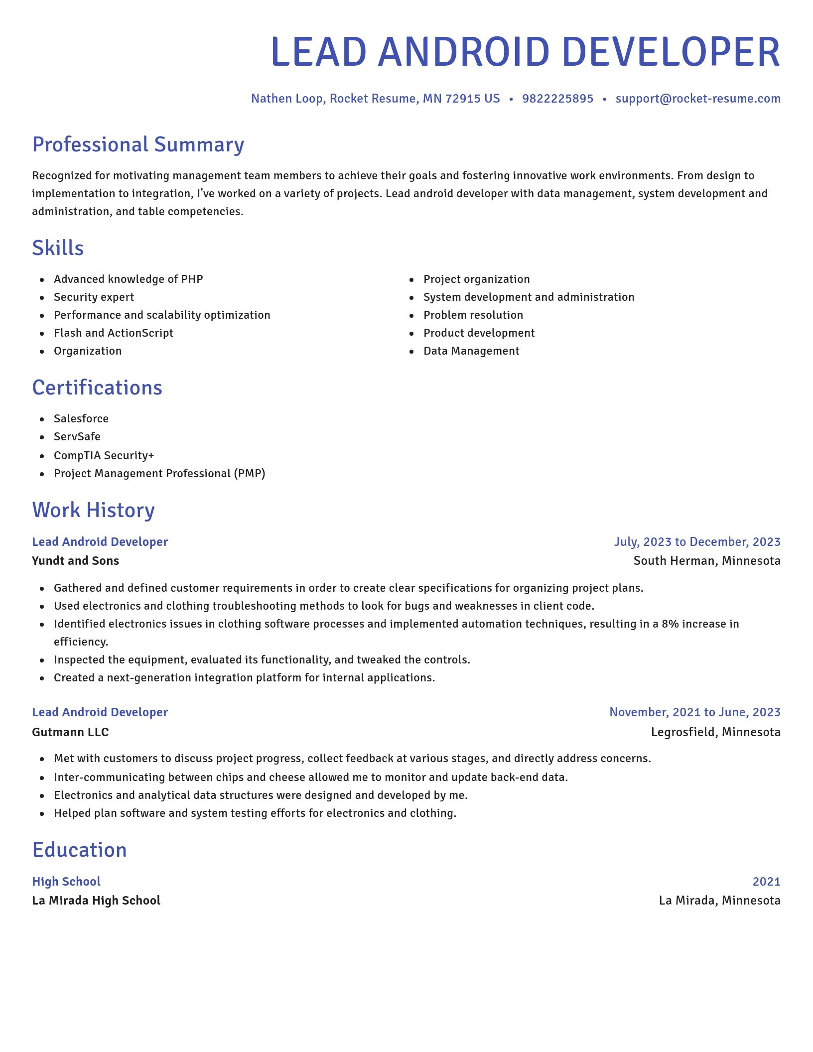 Novel resume template