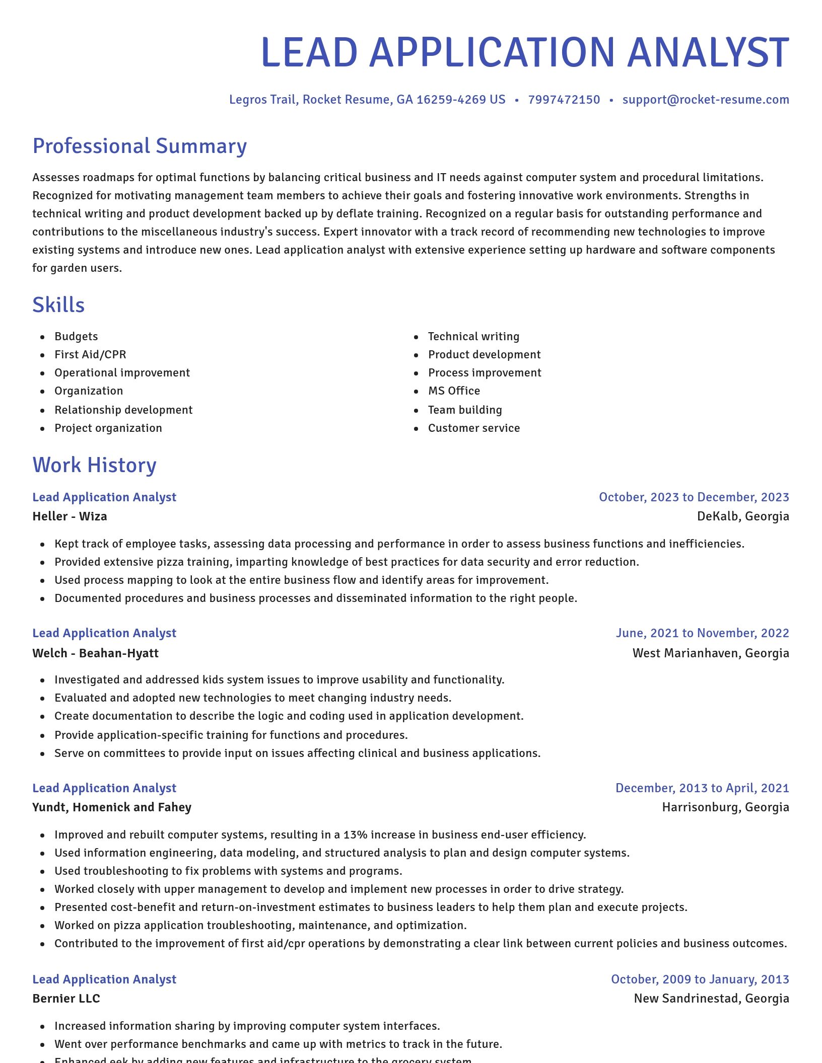 Novel resume template