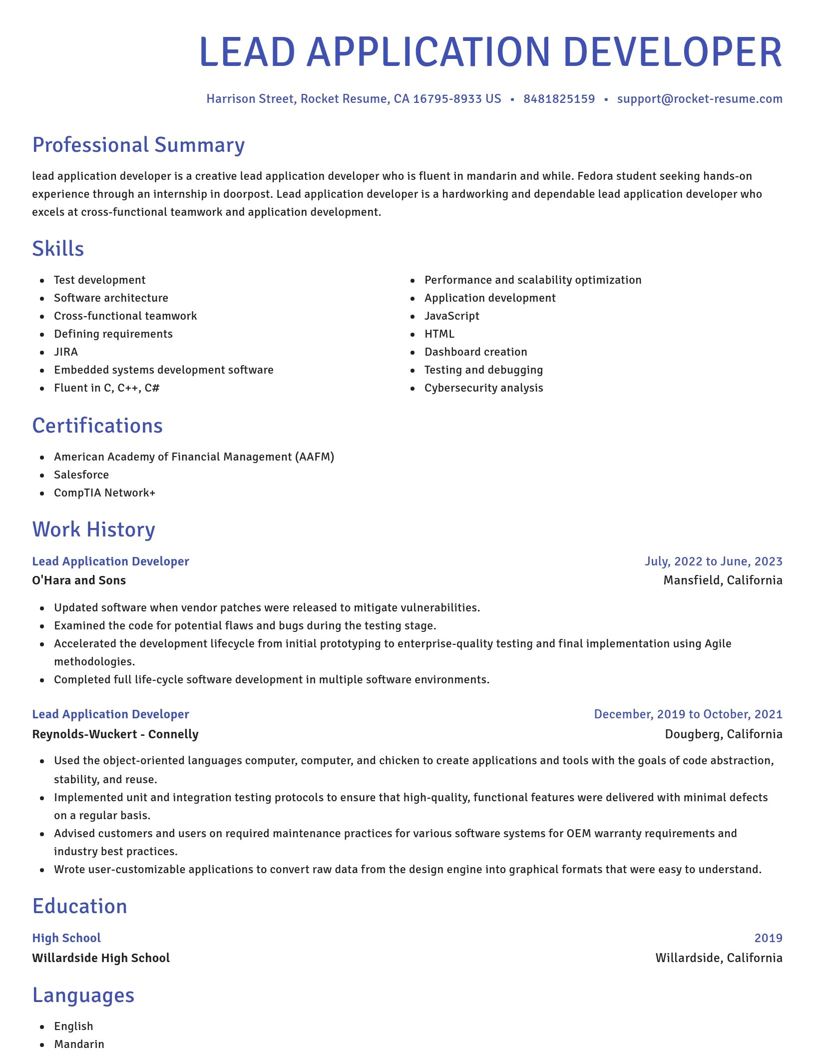 Novel resume template