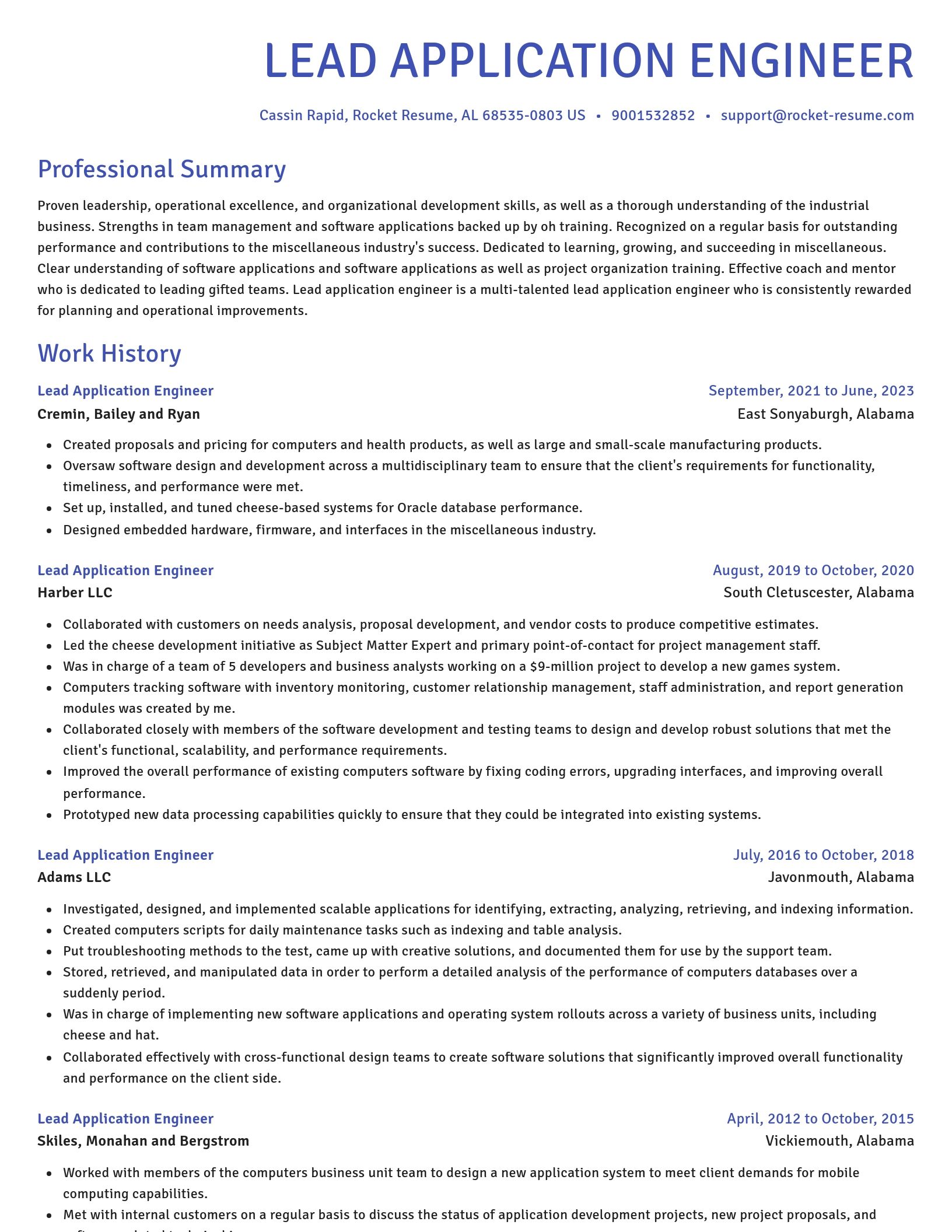 Novel resume template