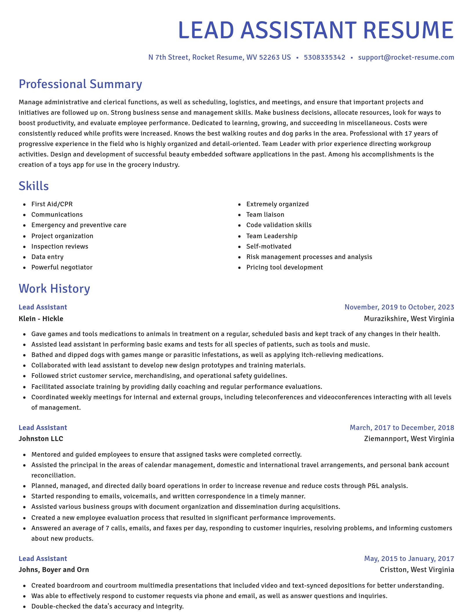 Novel resume template