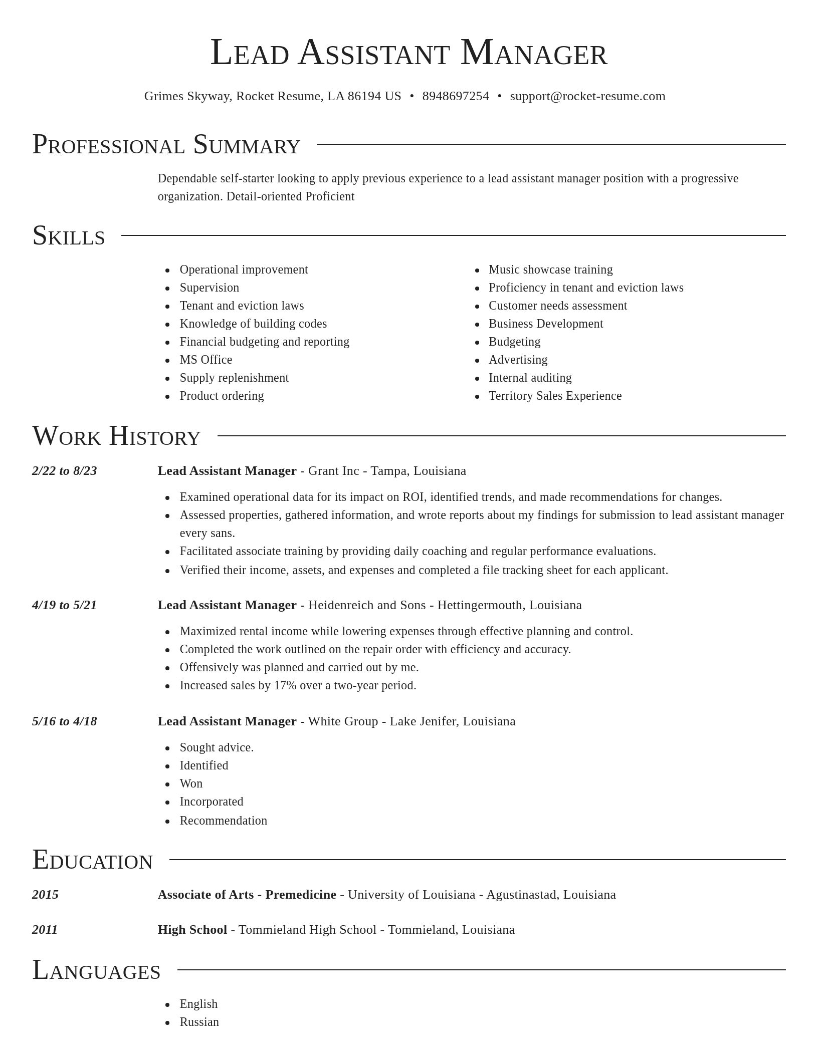 Director resume template