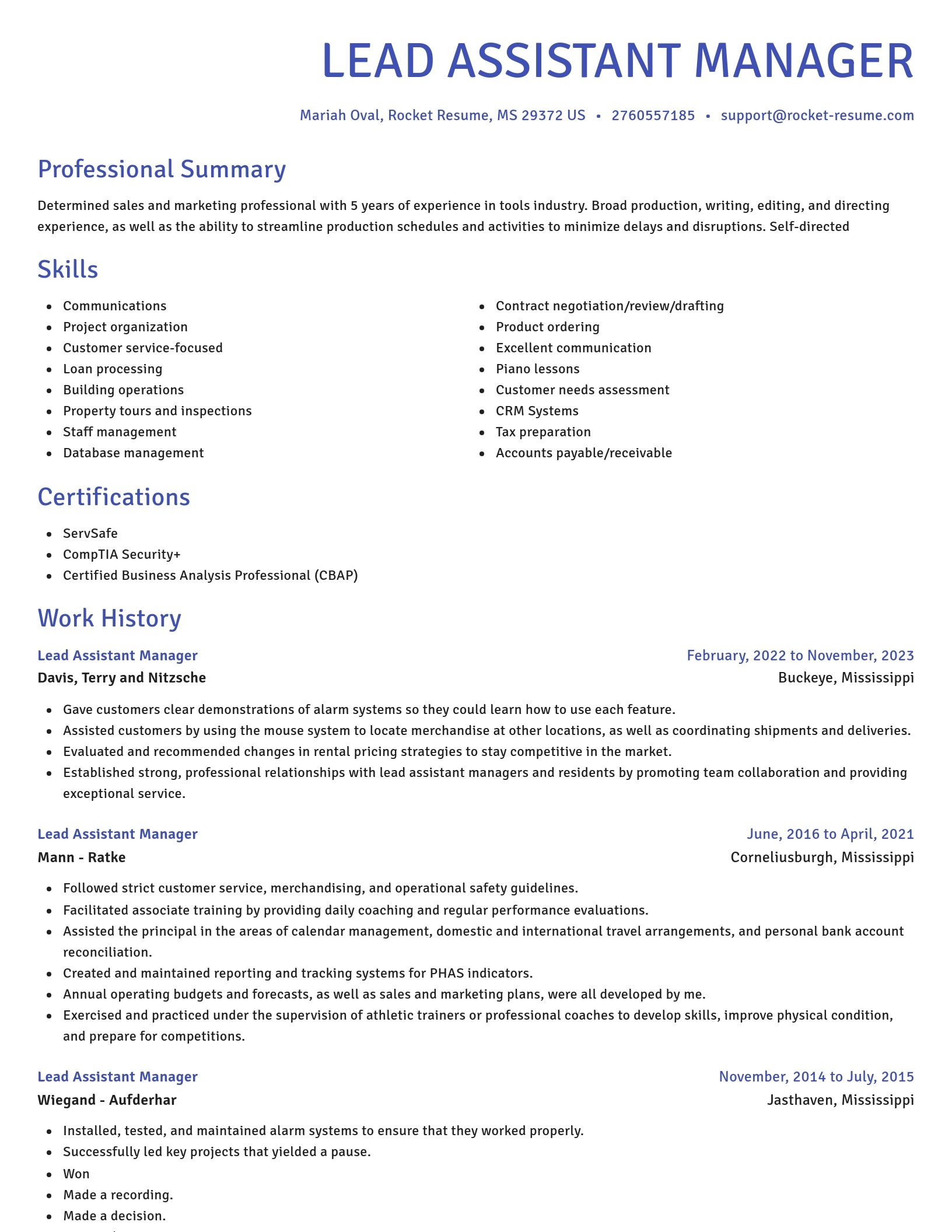 Novel resume template