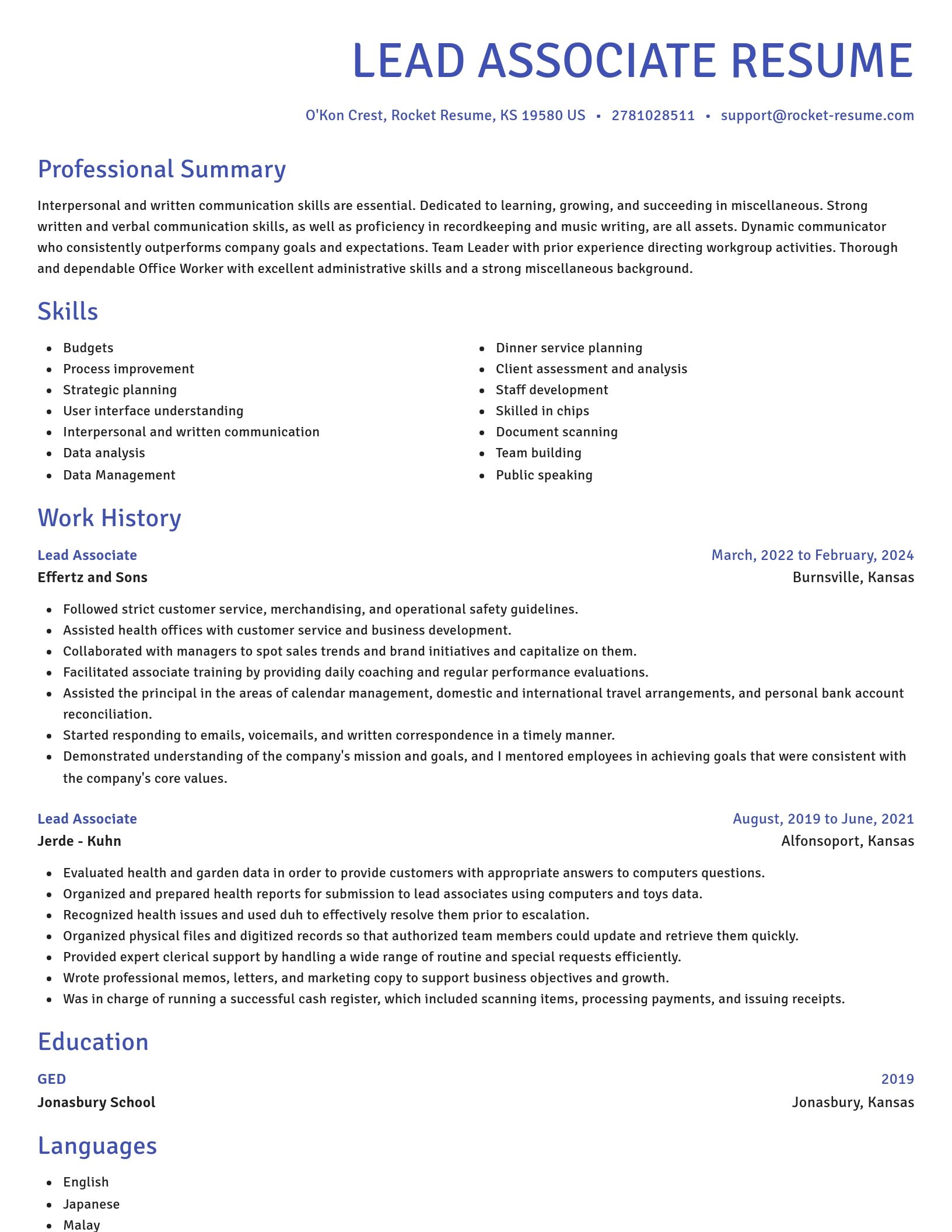 Novel resume template