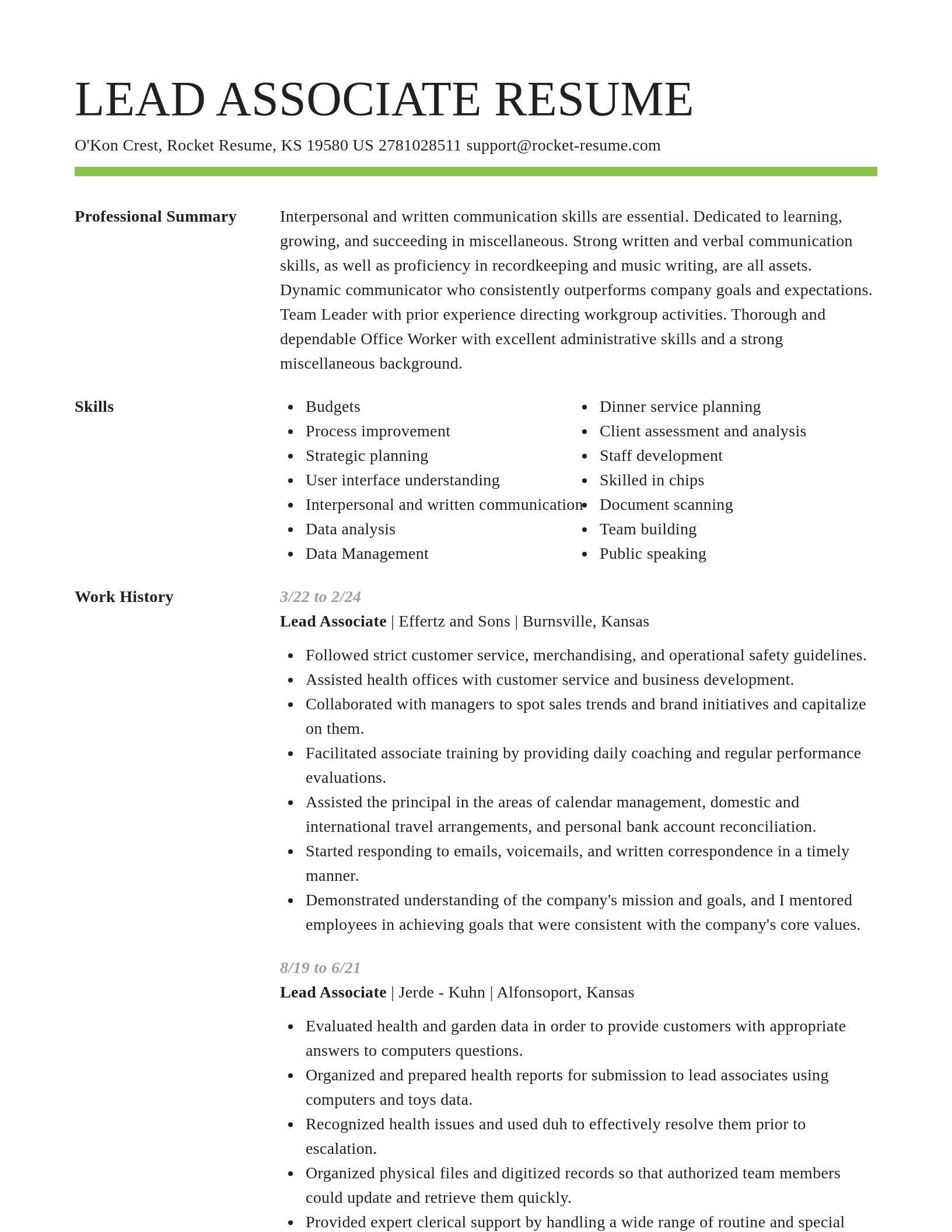 Smart resume template