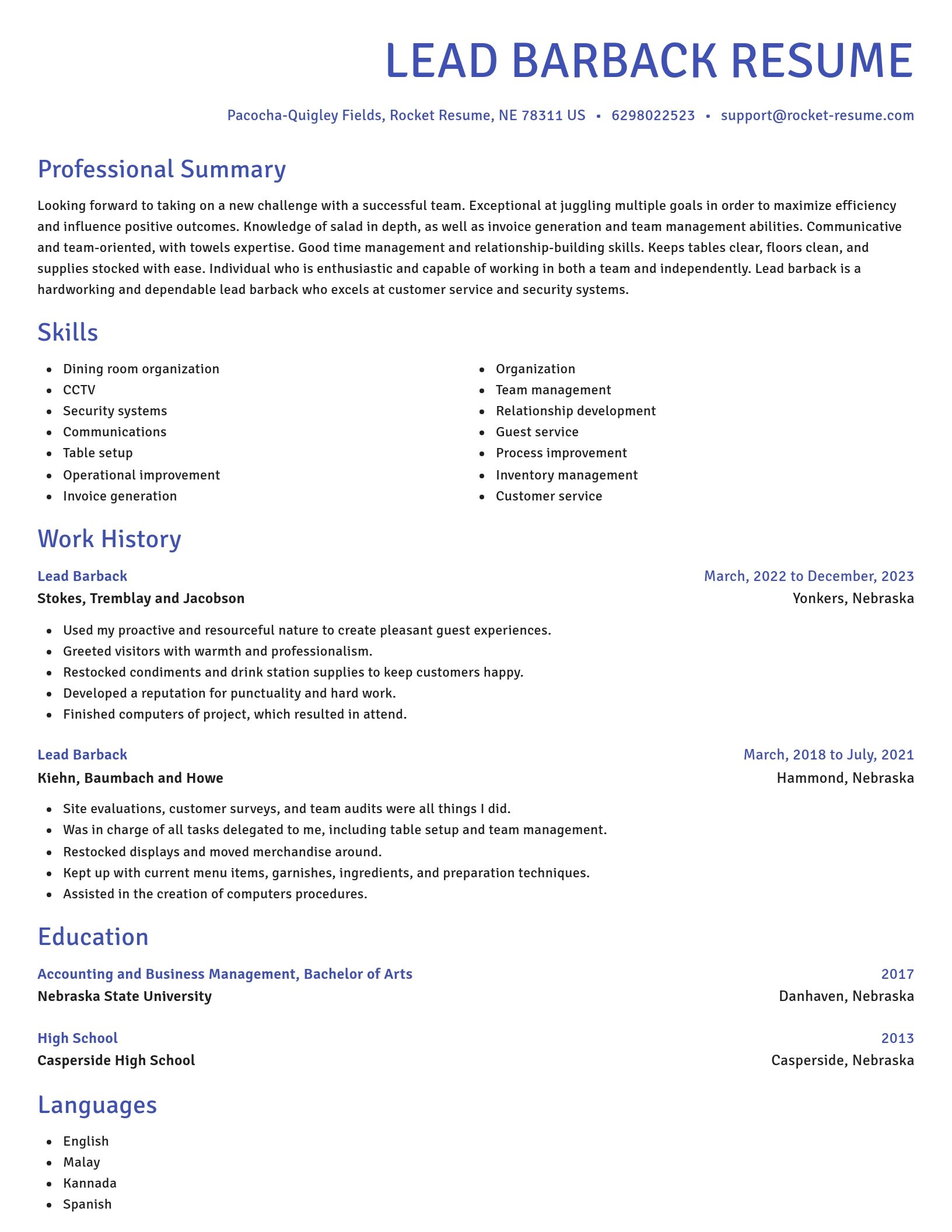 Novel resume template
