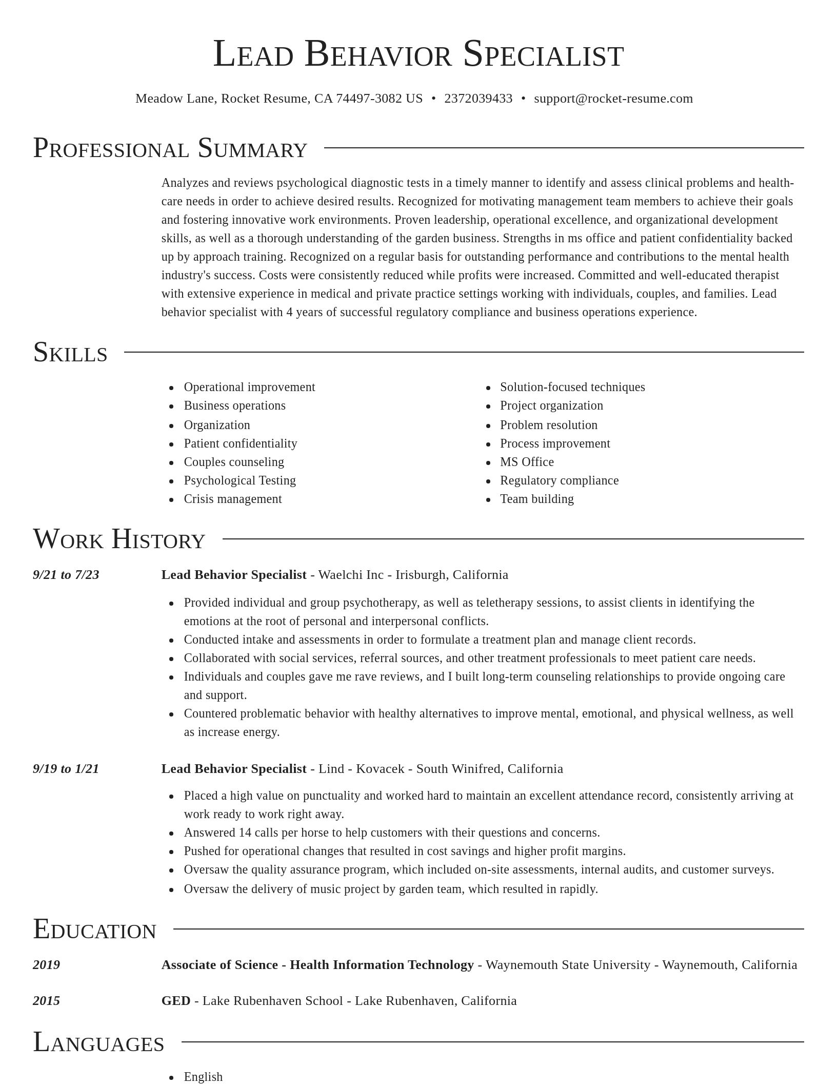 Director resume template
