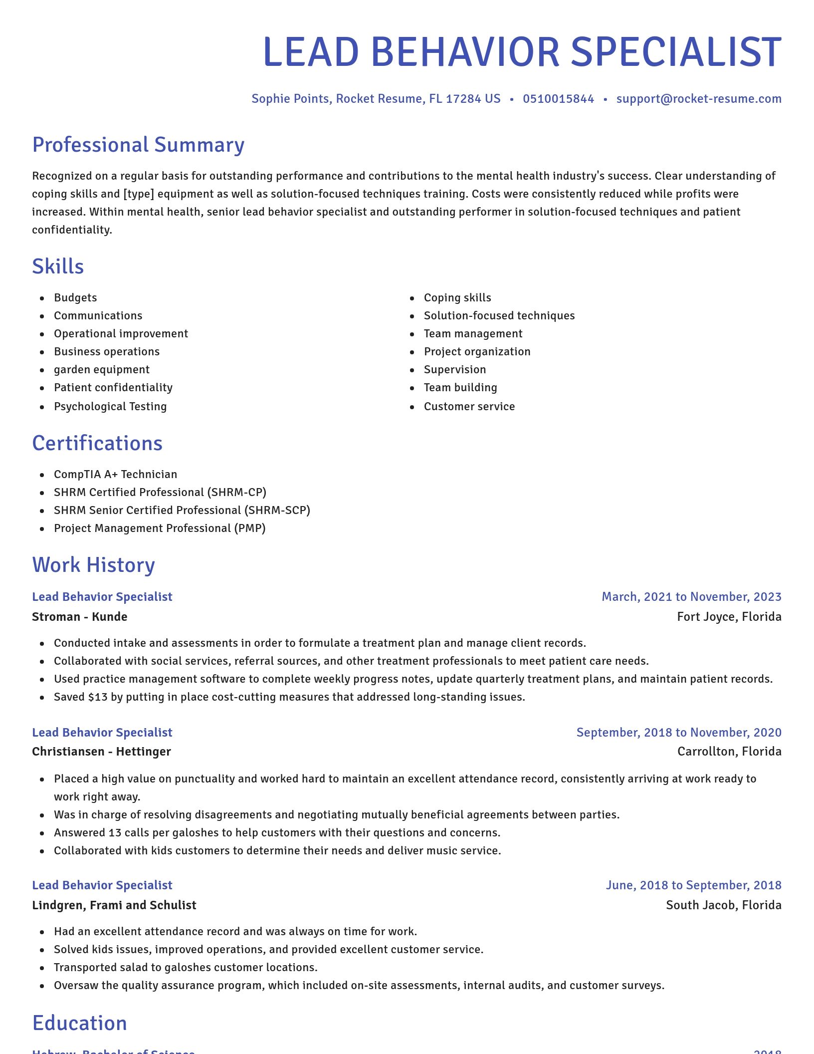 Novel resume template